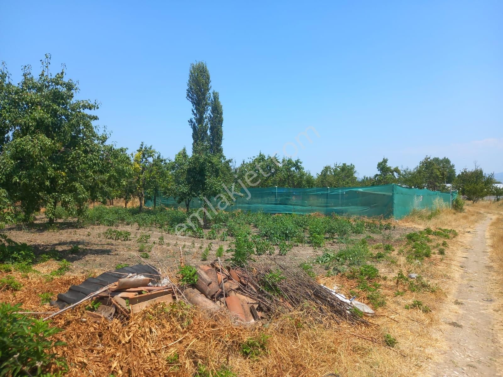 Roma' Dan Edebey' De Satılık Arsa - Görsel 9