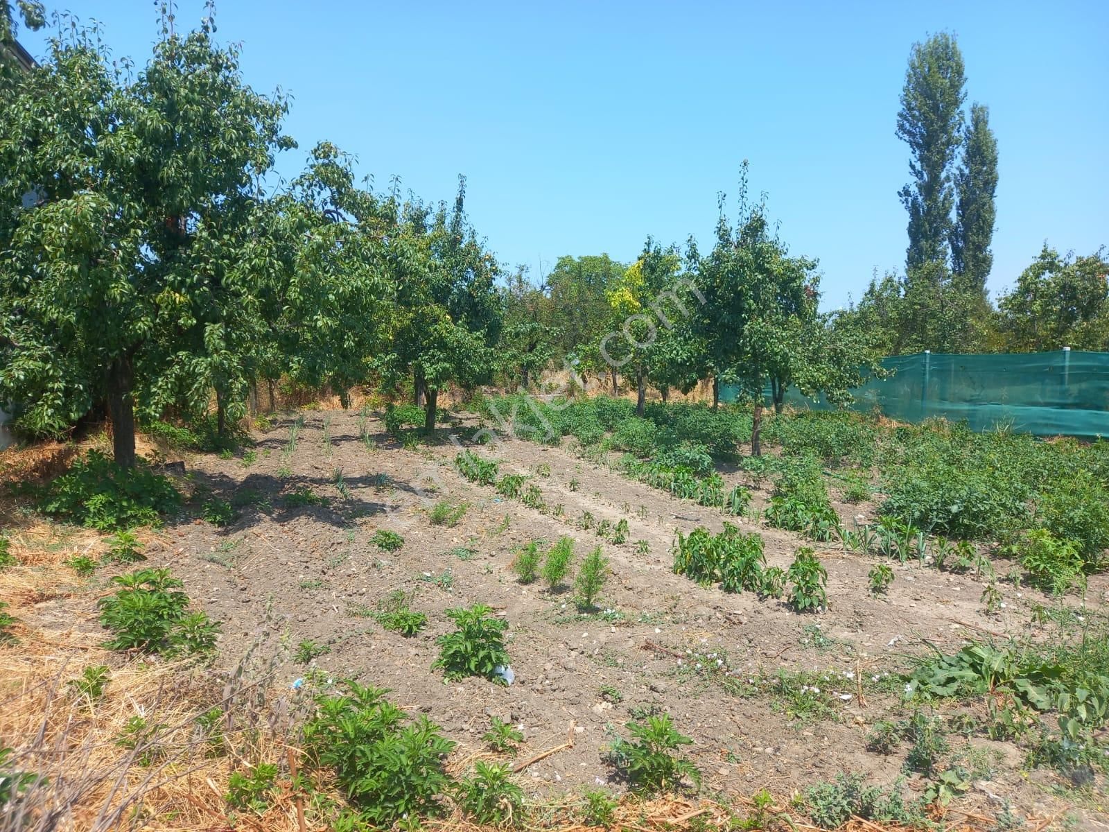 Roma' Dan Edebey' De Satılık Arsa - Görsel 11