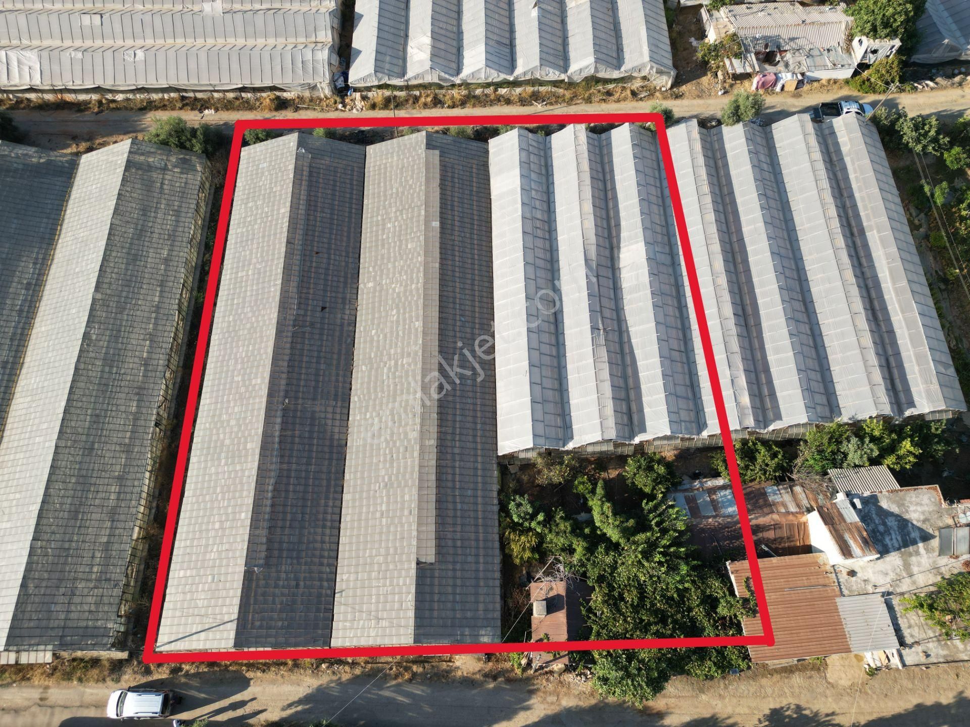 Arf Alanya İnşaat'tan Payallar Sahilde Satılık İmarlı Arsa - Görsel 4
