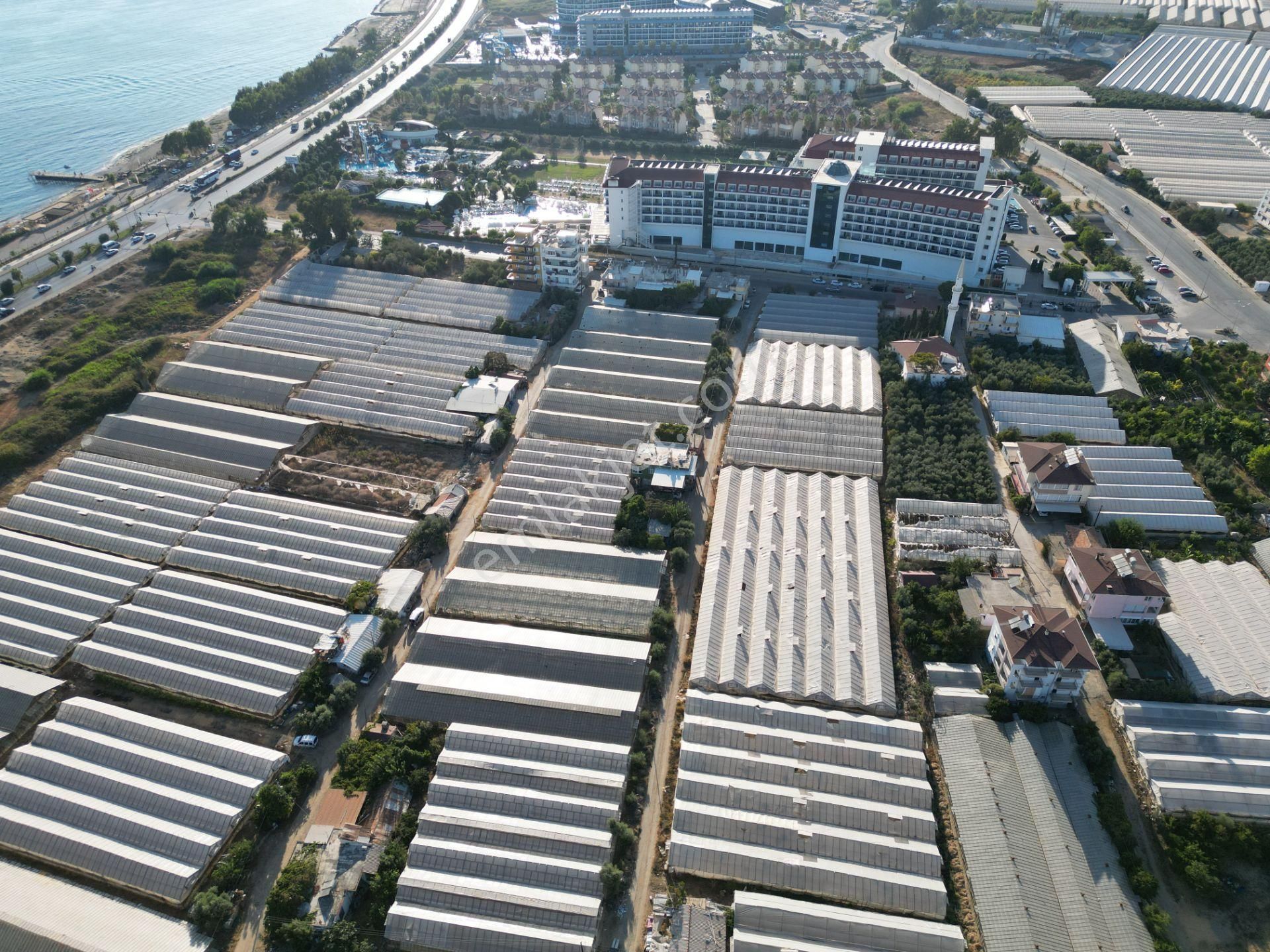 Arf Alanya İnşaat'tan Payallar Sahilde Satılık İmarlı Arsa - Görsel 15