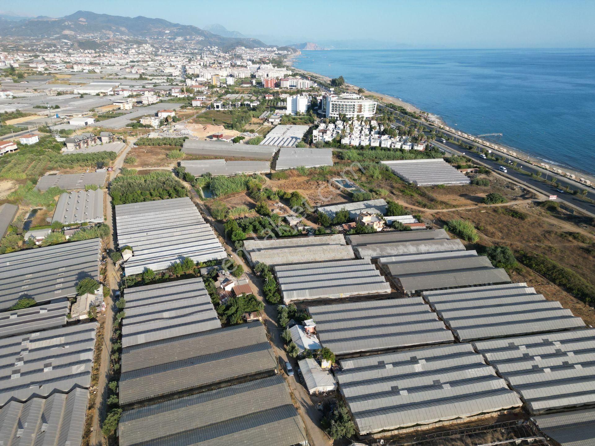 Arf Alanya İnşaat'tan Payallar Sahilde Satılık İmarlı Arsa - Görsel 14
