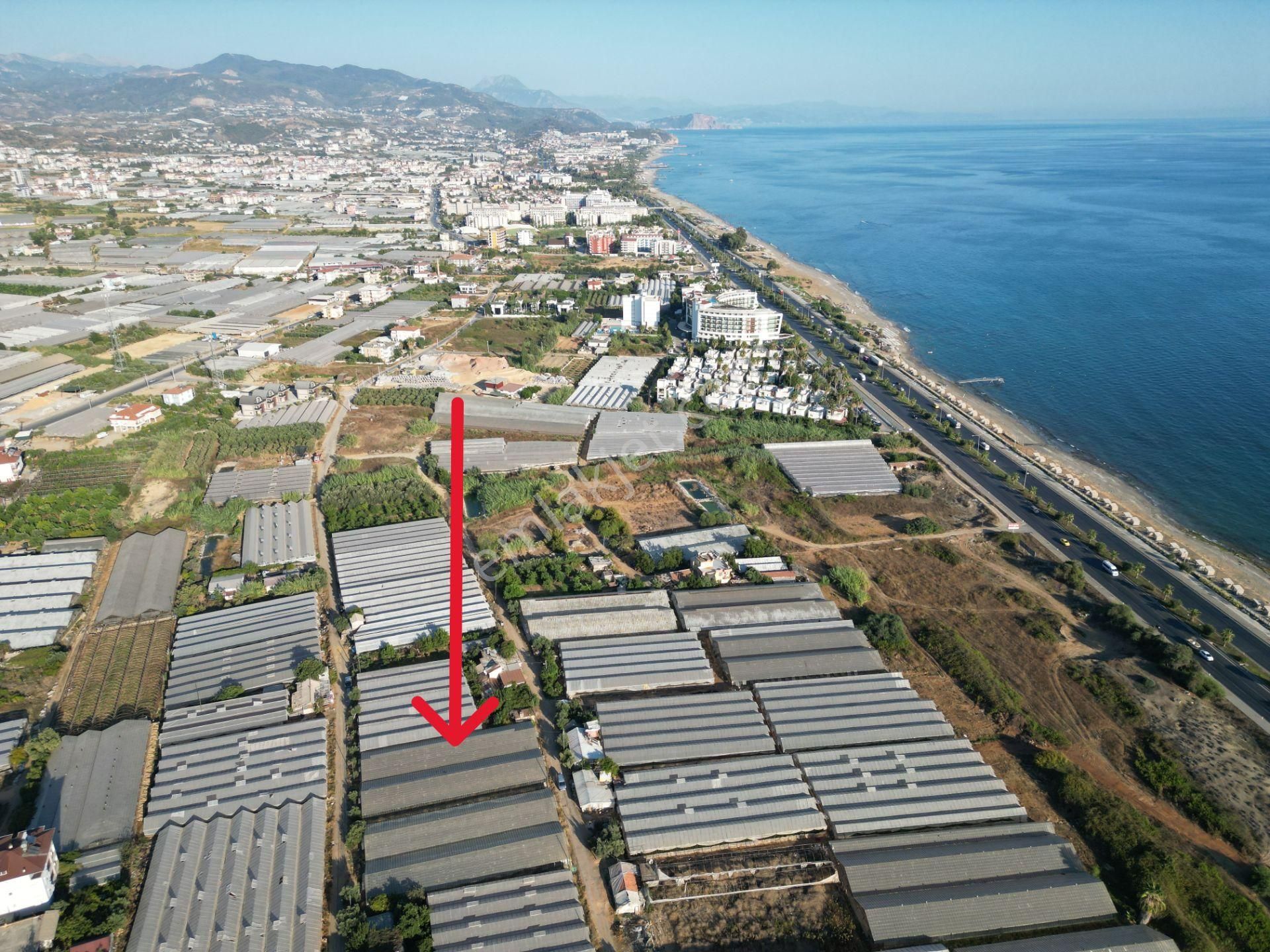 Arf Alanya İnşaat'tan Payallar Sahilde Satılık İmarlı Arsa - Görsel 5