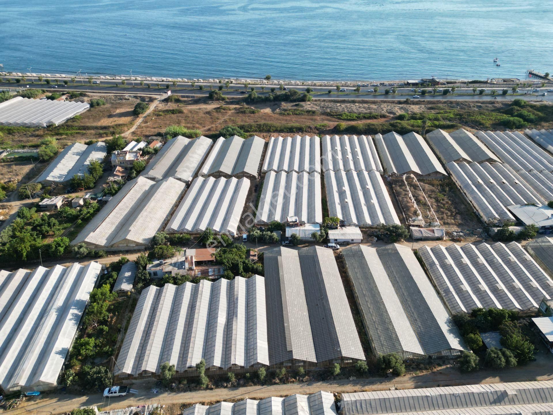 Arf Alanya İnşaat'tan Payallar Sahilde Satılık İmarlı Arsa - Görsel 16