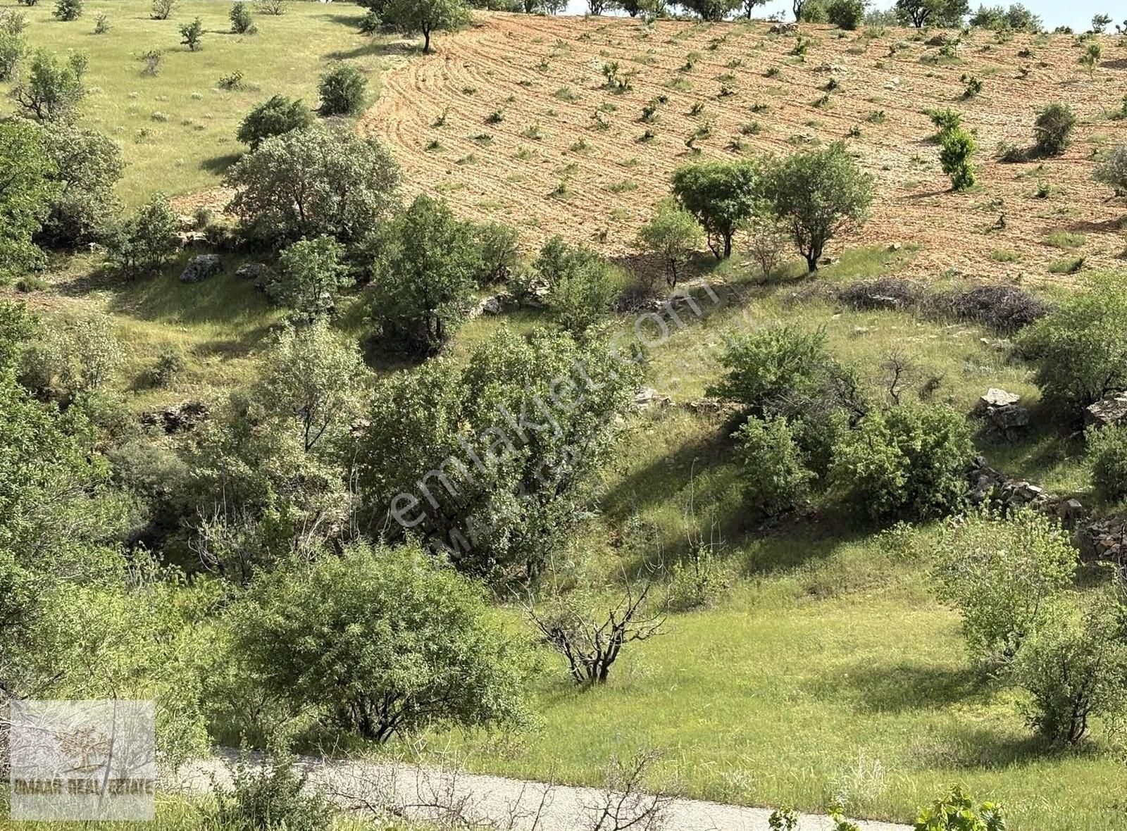 Zınnar Da Müstakil Tapulu Ana Caddeye Sıfır Arsamız - Görsel 15
