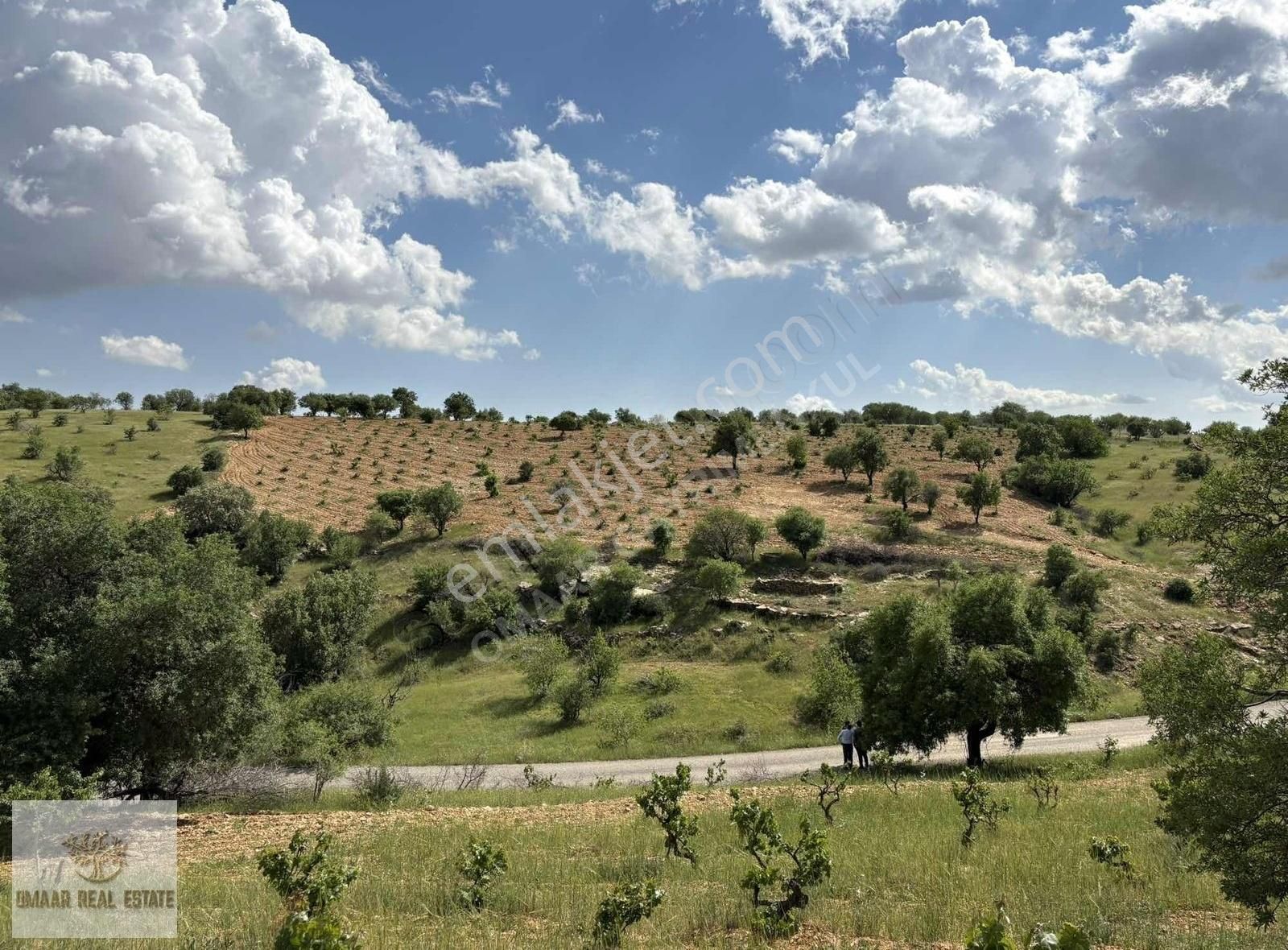 Zınnar Da Müstakil Tapulu Ana Caddeye Sıfır Arsamız - Görsel 10
