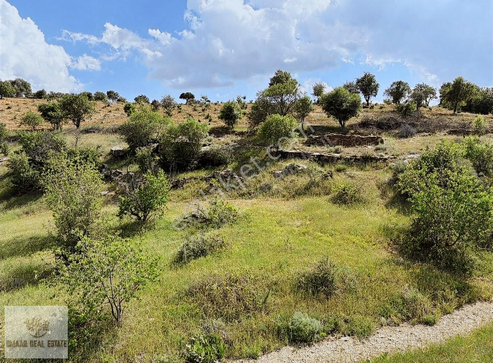 Zınnar Da Müstakil Tapulu Ana Caddeye Sıfır Arsamız - Görsel 11