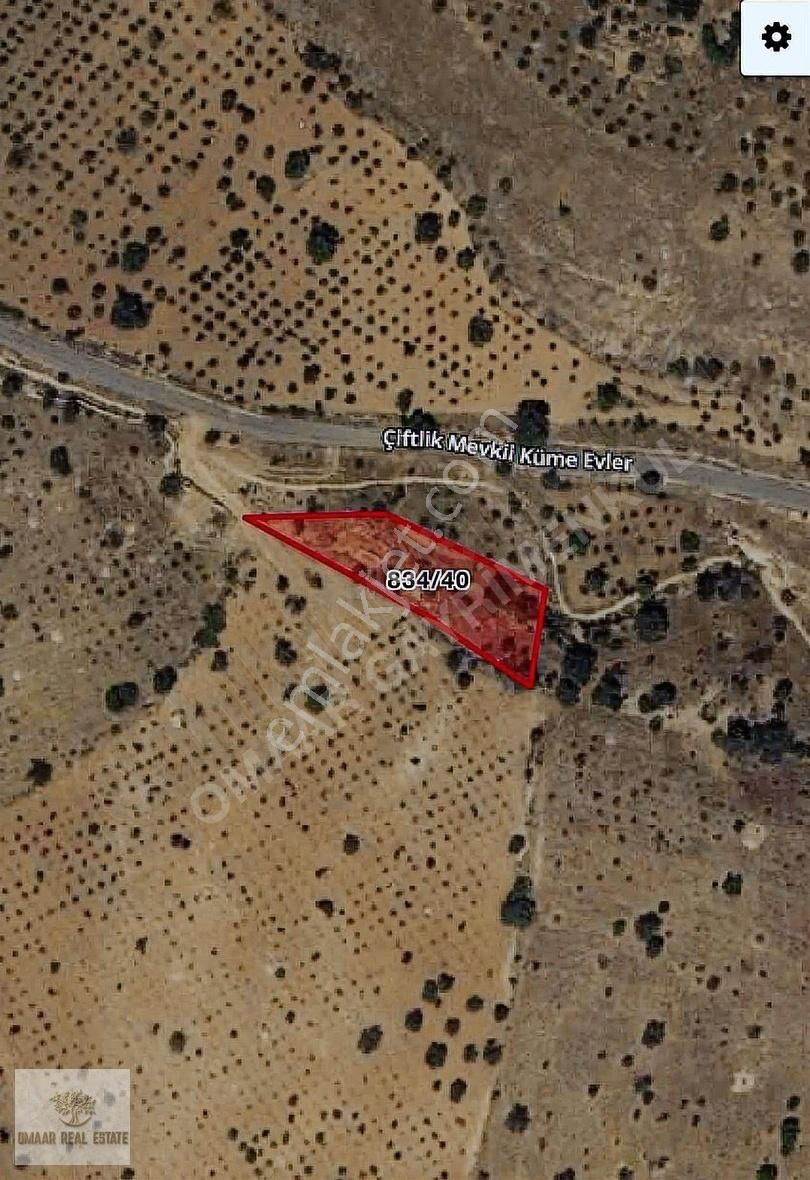 Zınnar Da Müstakil Tapulu Ana Caddeye Sıfır Arsamız - Görsel 5