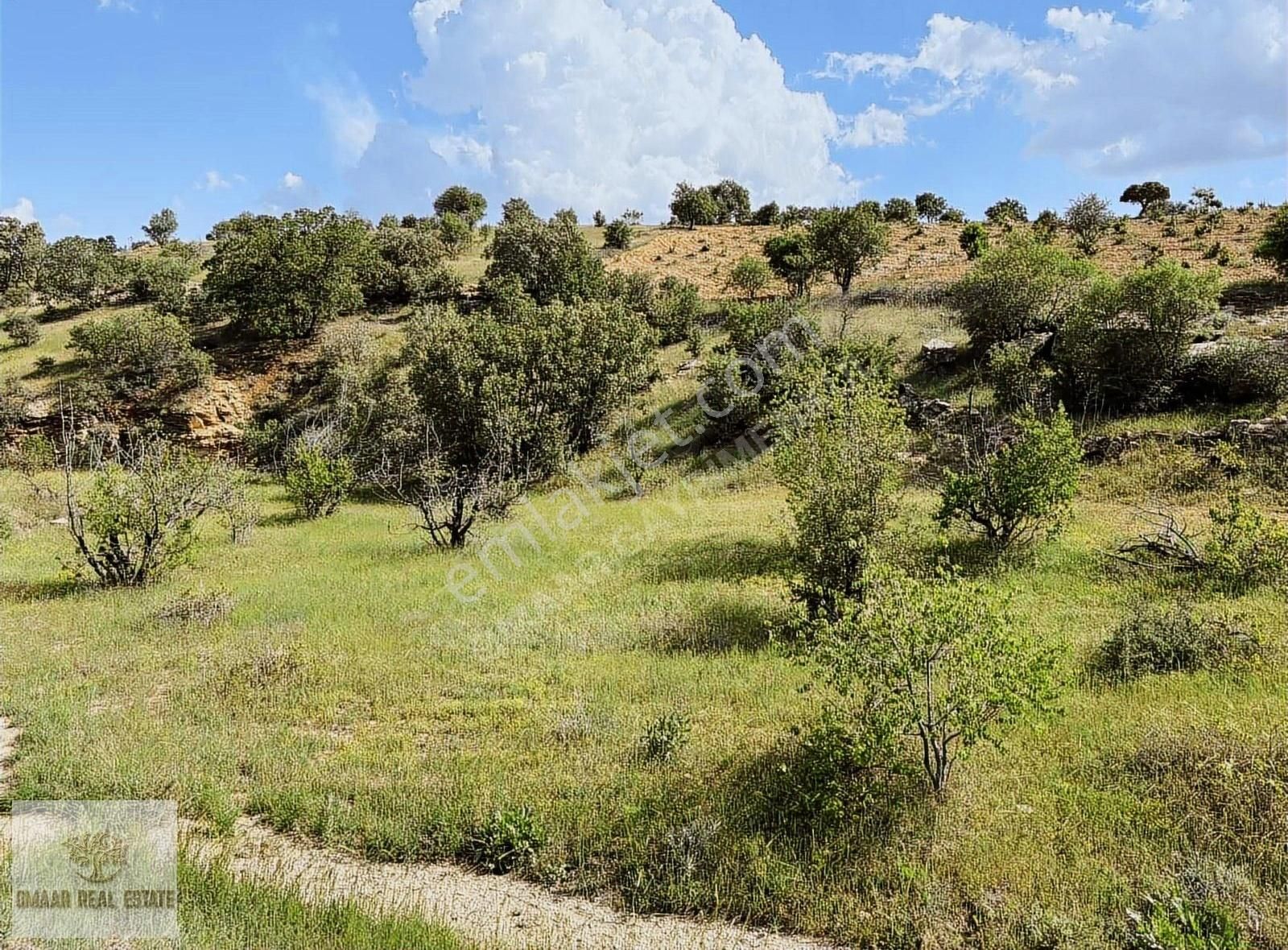 Zınnar Da Müstakil Tapulu Ana Caddeye Sıfır Arsamız - Görsel 6