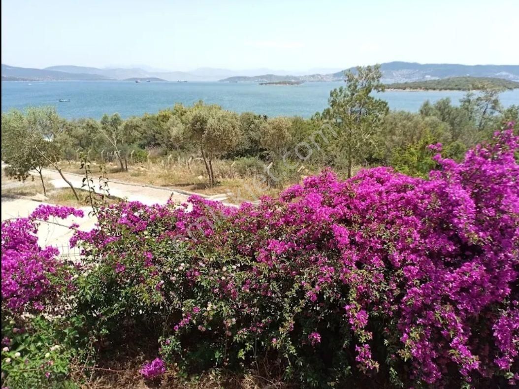 Mugla.milas.kıyıkışlacık’ta İasos Tatil Sitesinde Sahilde Satılık Villa - Görsel 28