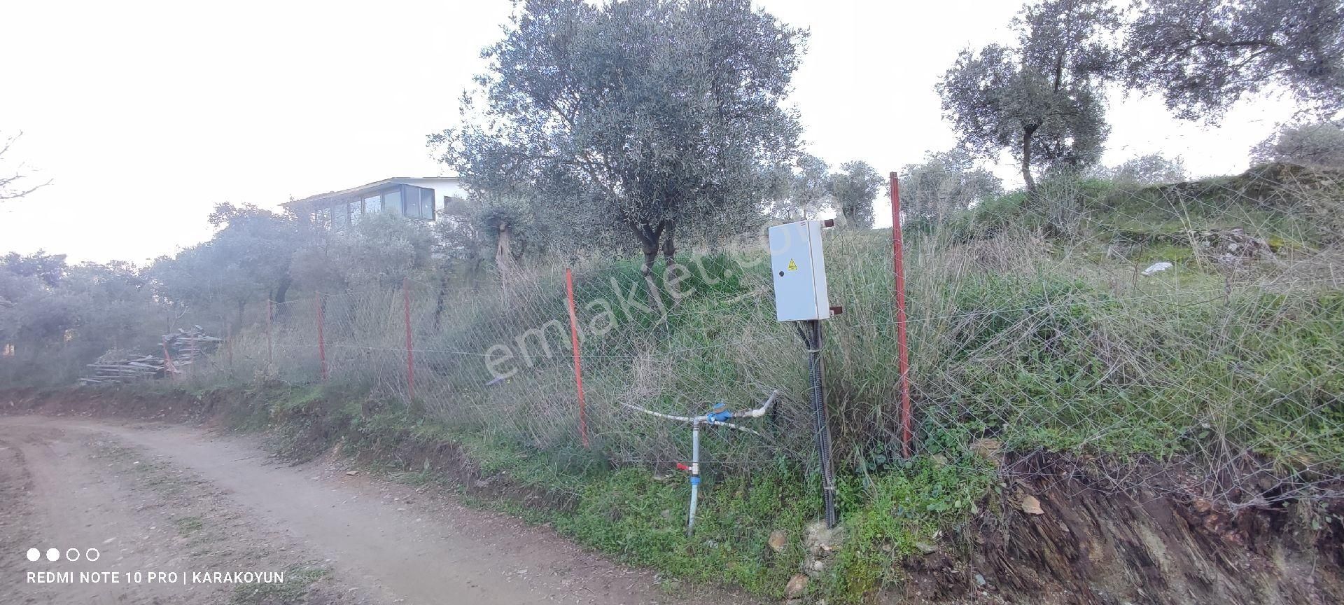 Milas Danişment Köyü'nde Elektrik, Şebeke Suyu - Görsel 4