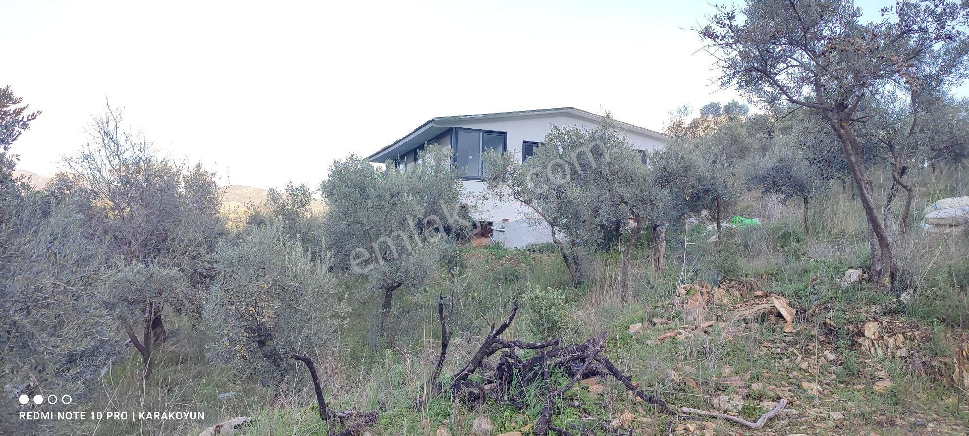 Milas Danişment Köyü'nde Elektrik, Şebeke Suyu - Görsel 16