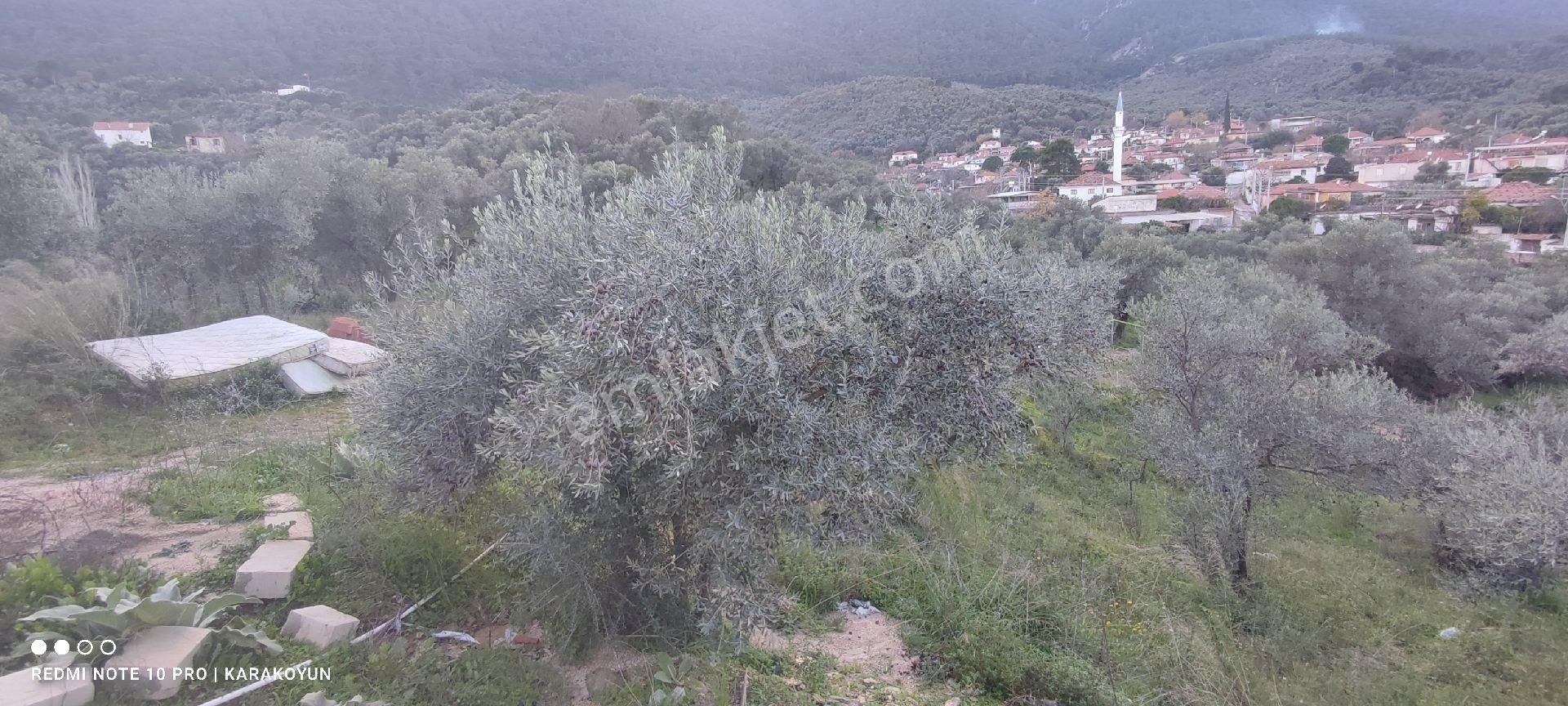 Milas Danişment Köyü'nde Elektrik, Şebeke Suyu - Görsel 15