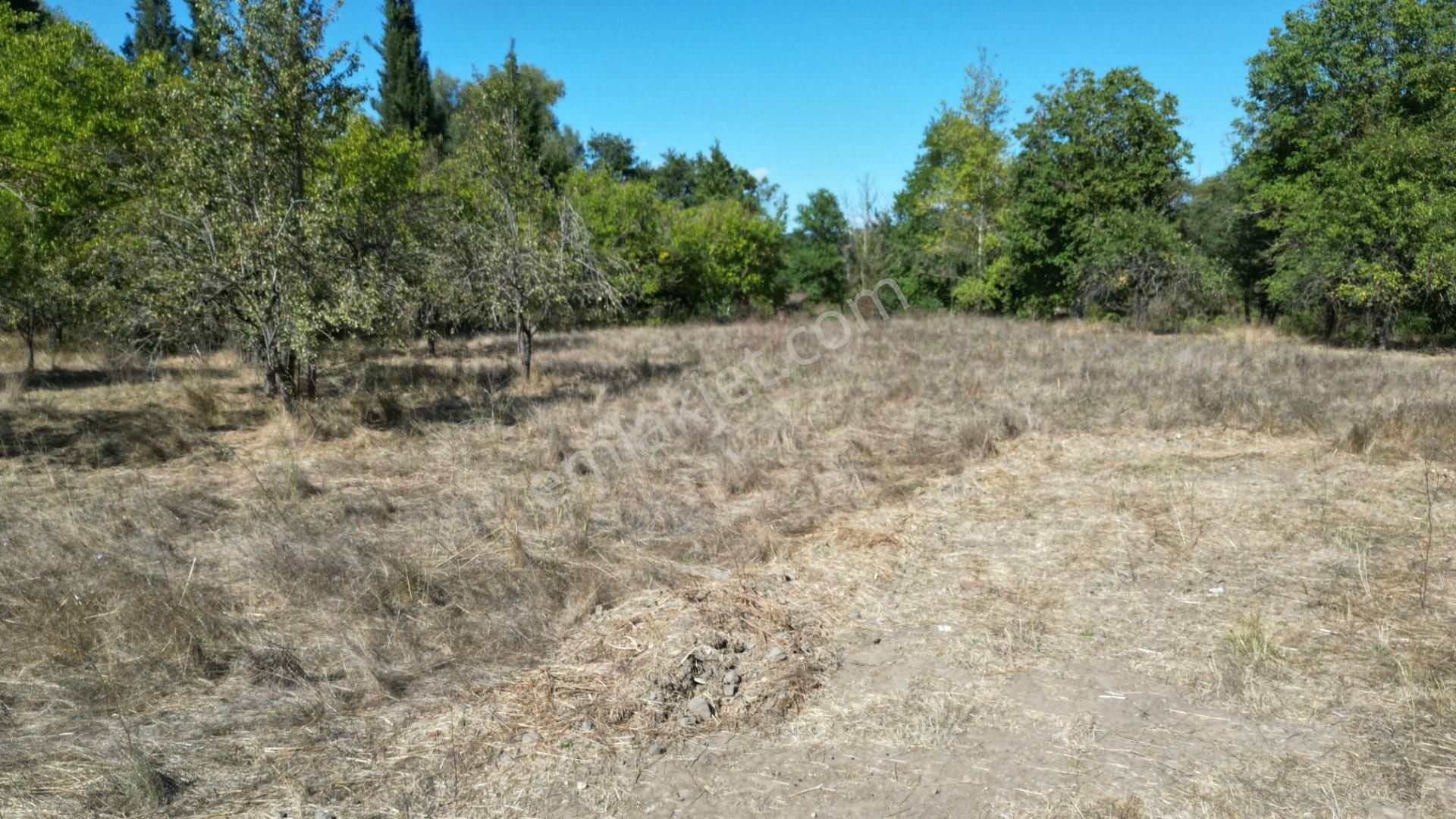 Kocaeli Karamürsel Kızderbent 3.459 M² %5 İmarlı Yola Cephe Satılık Tarla - Görsel 13