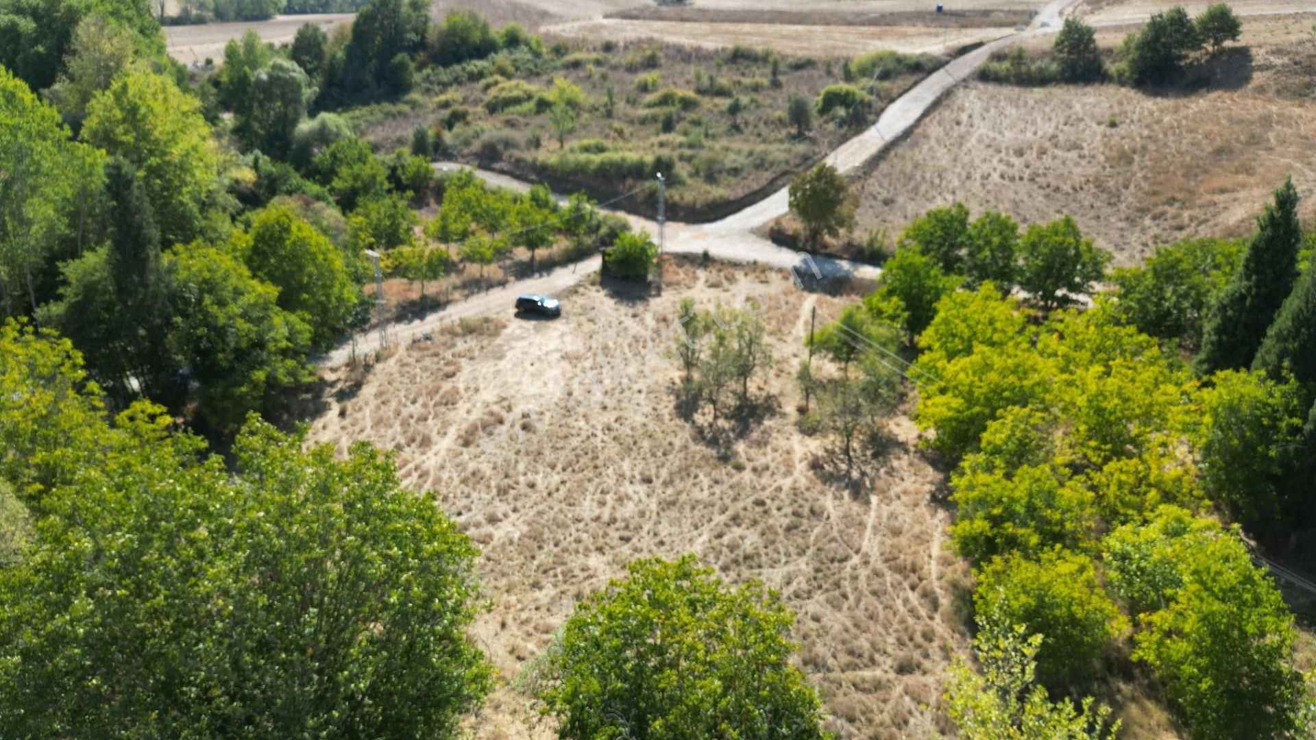 Kocaeli Karamürsel Kızderbent 3.459 M² %5 İmarlı Yola Cephe Satılık Tarla - Görsel 2