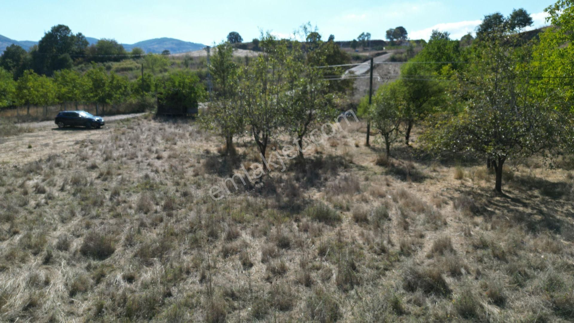 Kocaeli Karamürsel Kızderbent 3.459 M² %5 İmarlı Yola Cephe Satılık Tarla - Görsel 3