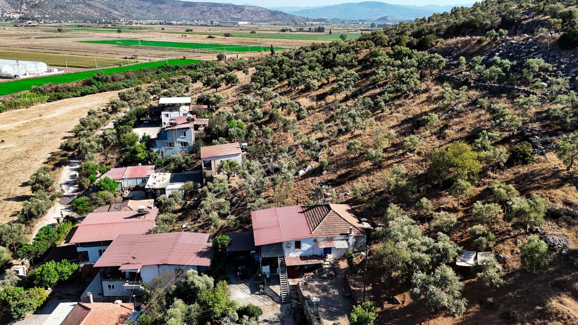Milas Damlıboğaz Mah. 2.325 M2 Satılık İçinde Köy Evi Olan Arsa - Görsel 14