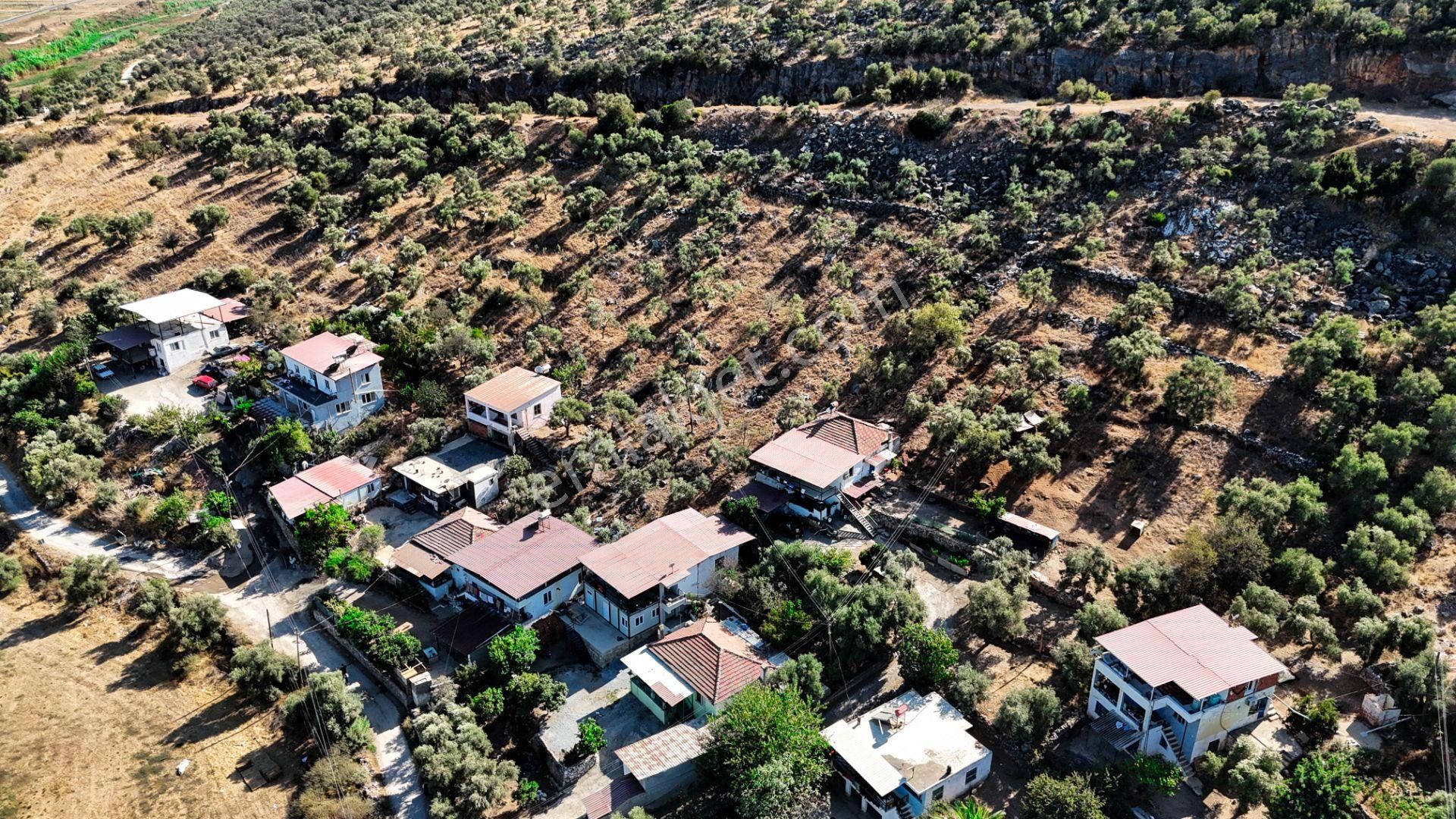 Milas Damlıboğaz Mah. 2.325 M2 Satılık İçinde Köy Evi Olan Arsa - Görsel 12