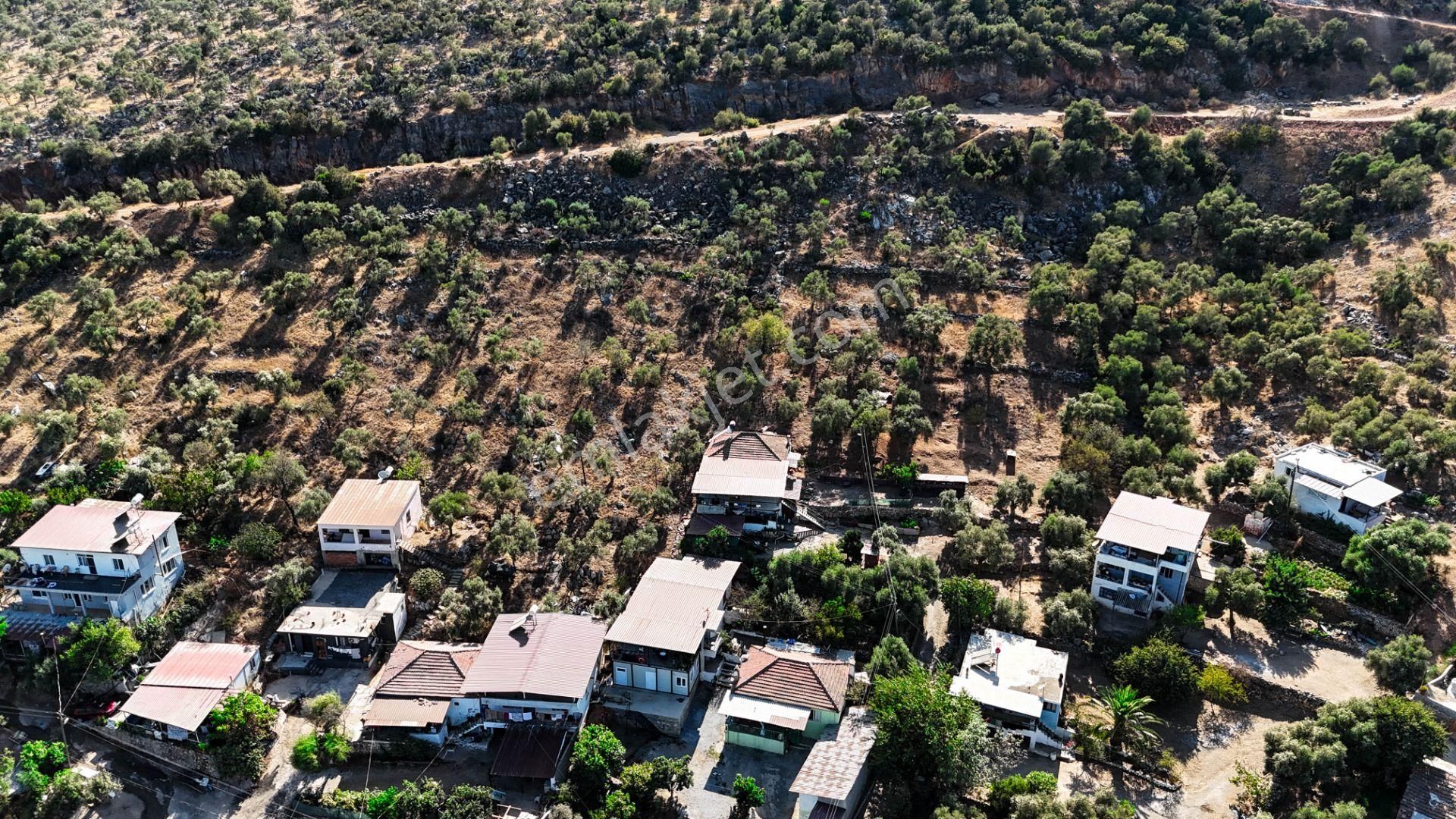 Milas Damlıboğaz Mah. 2.325 M2 Satılık İçinde Köy Evi Olan Arsa - Görsel 11