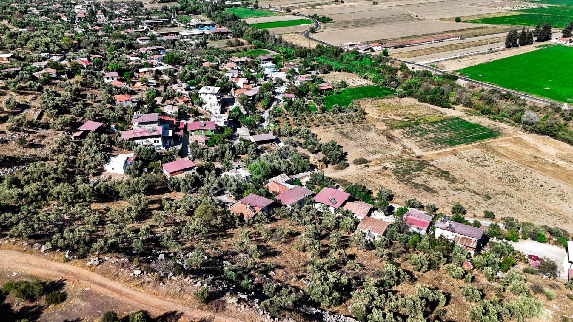 Milas Damlıboğaz Mah. 2.325 M2 Satılık İçinde Köy Evi Olan Arsa - Görsel 10