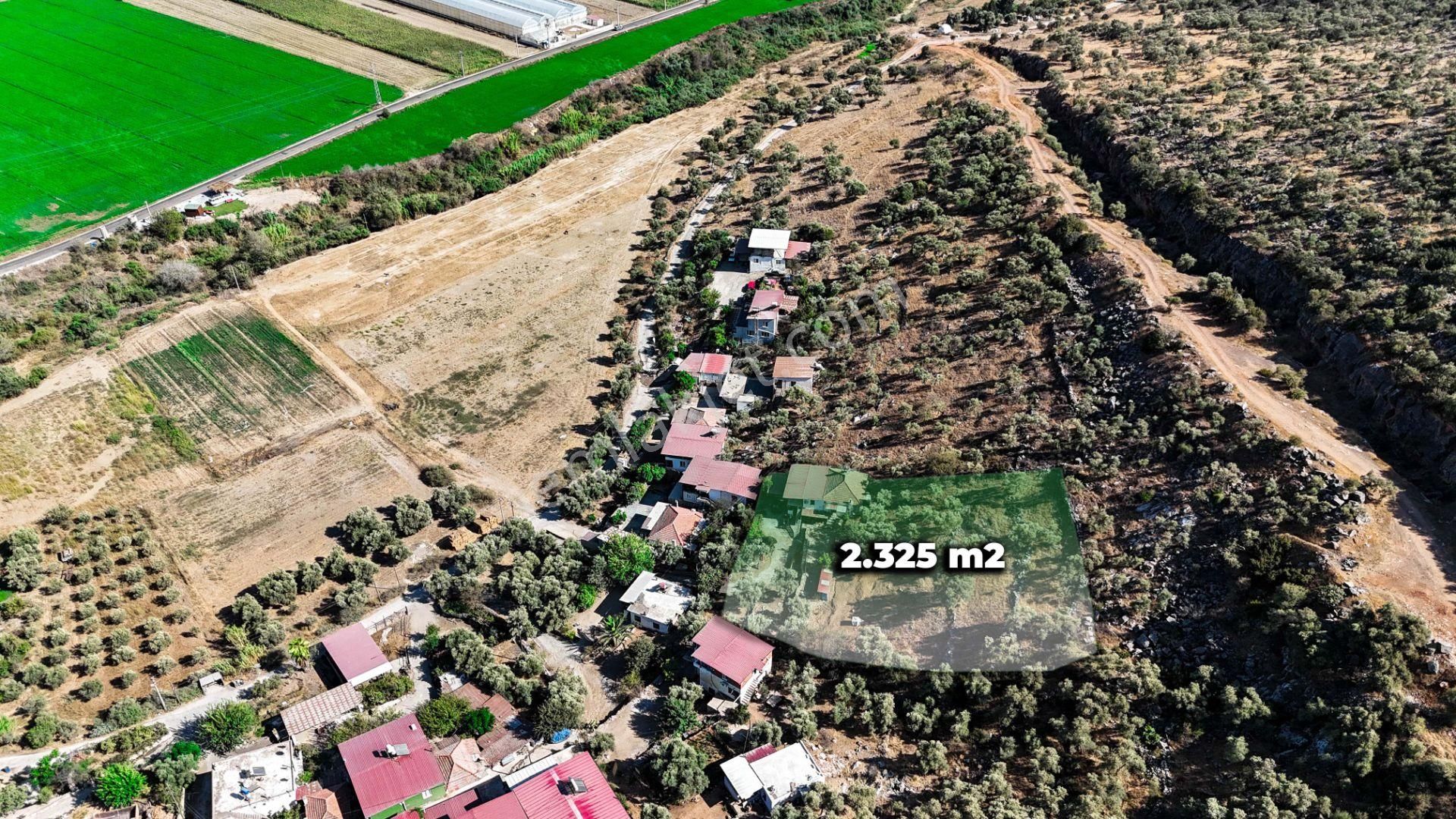 Milas Damlıboğaz Mah. 2.325 M2 Satılık İçinde Köy Evi Olan Arsa - Görsel 2