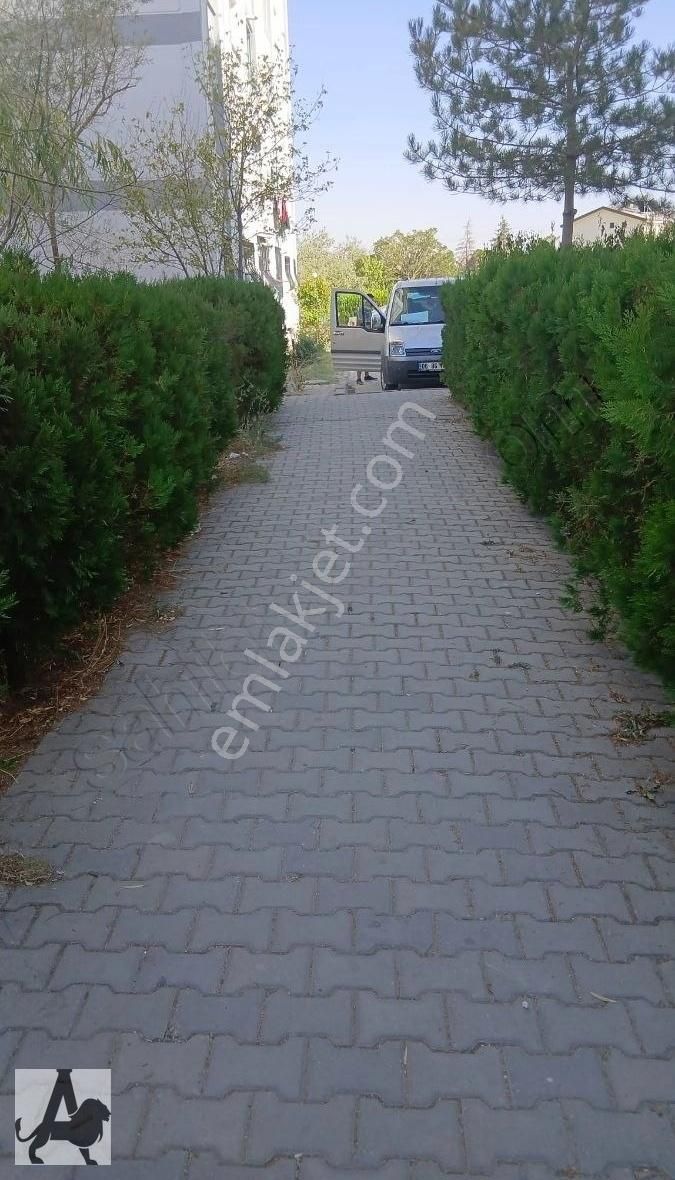 Arslan Emlak'tan Temelli Tokide Kiralık Ön Cephe Sıfır 3+1 Daire - Görsel 26