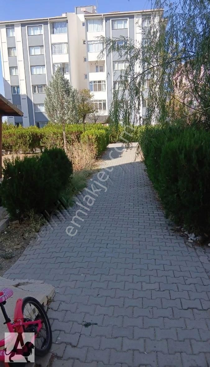 Arslan Emlak'tan Temelli Tokide Kiralık Ön Cephe Sıfır 3+1 Daire - Görsel 15