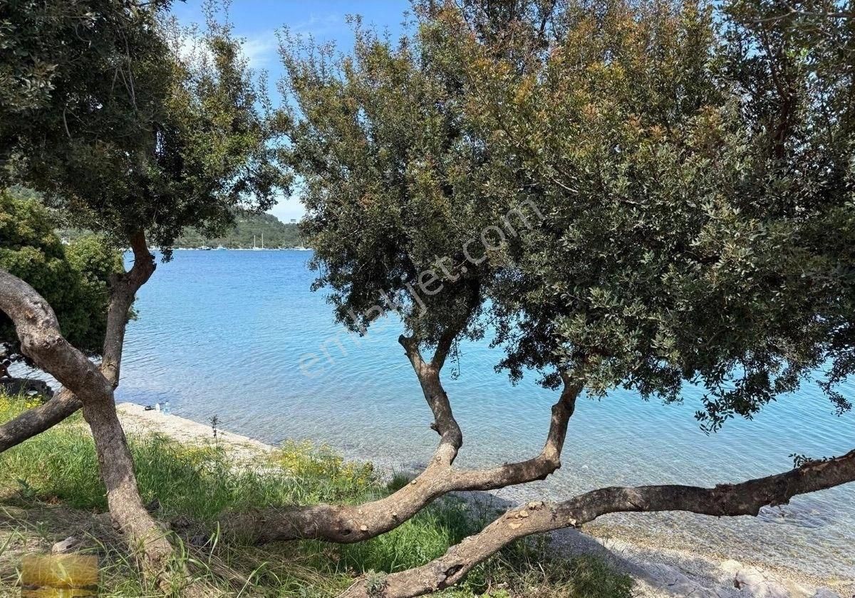 Denize 2.parsel Satılık Taş Ev 1 Dönüm İmarlı Arsa Yatırımlık - Görsel 5