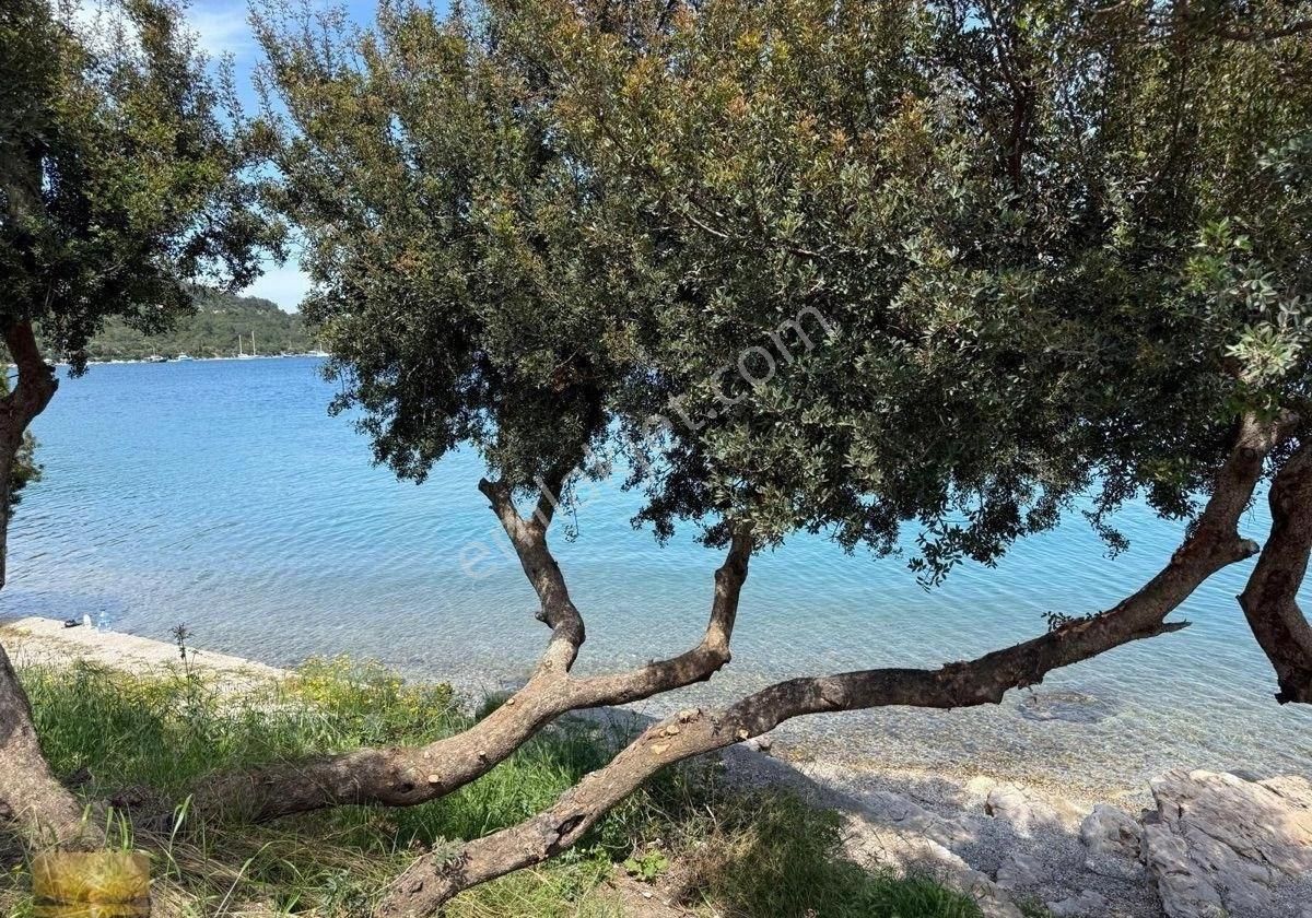 Denize 2.parsel Satılık Taş Ev 1 Dönüm İmarlı Arsa Yatırımlık - Görsel 7