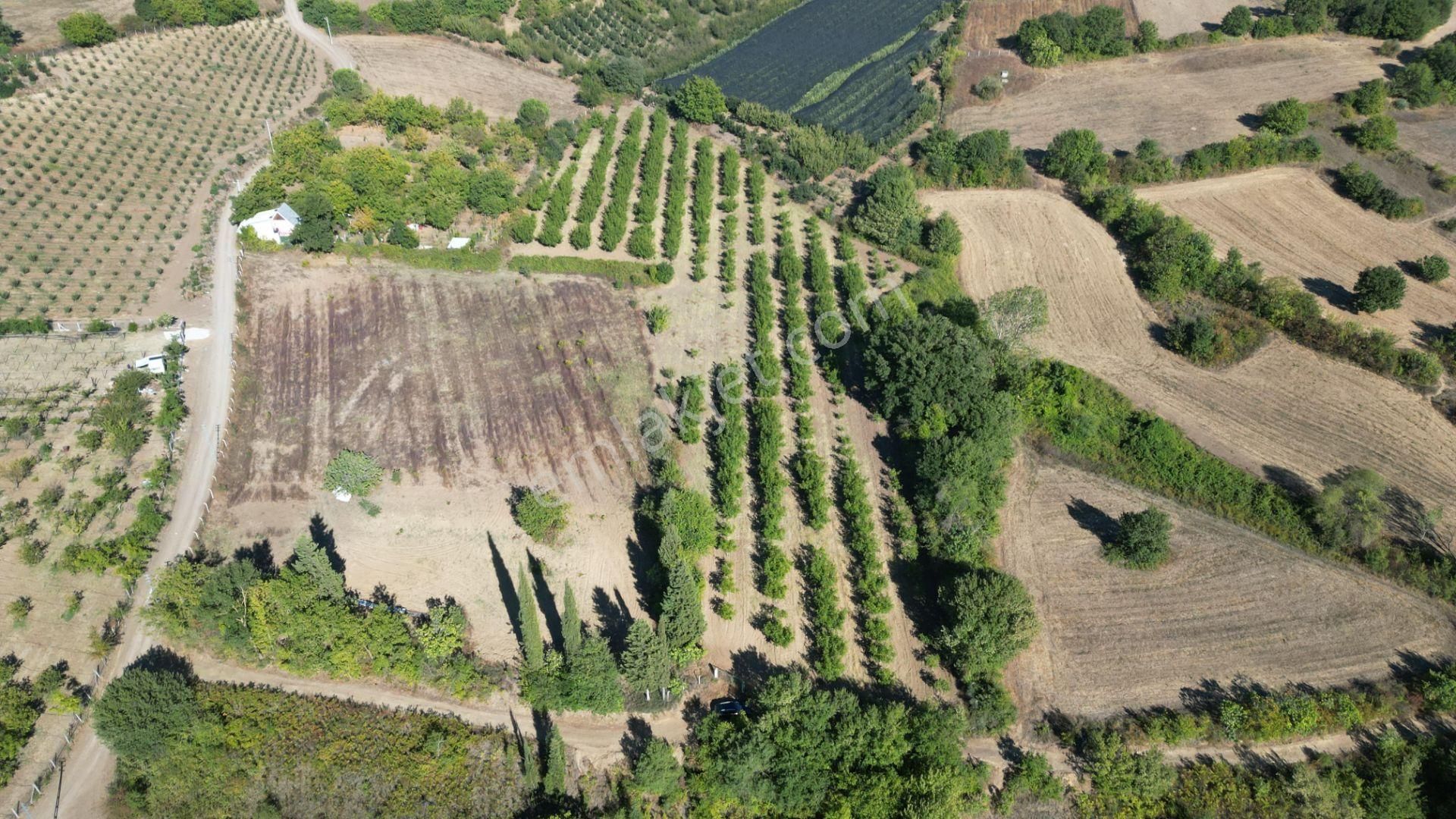 Kocaeli Karamürsel Yalakdere 11.518 M² Kaçmaz Satılık Tarla - Görsel 10