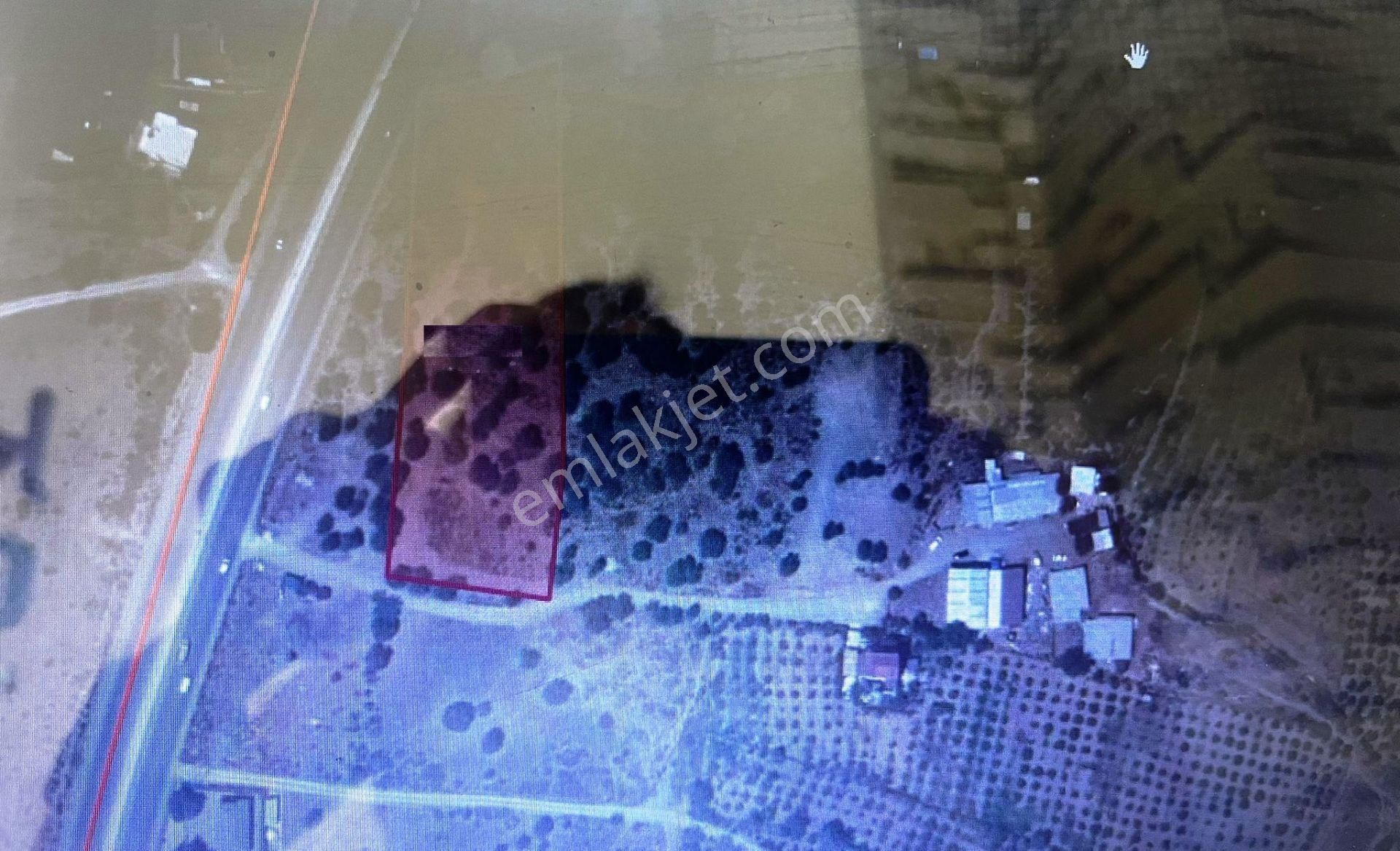Seferihisar Tepecikte Yola Sıfır Fırsat Arsa - Görsel 5