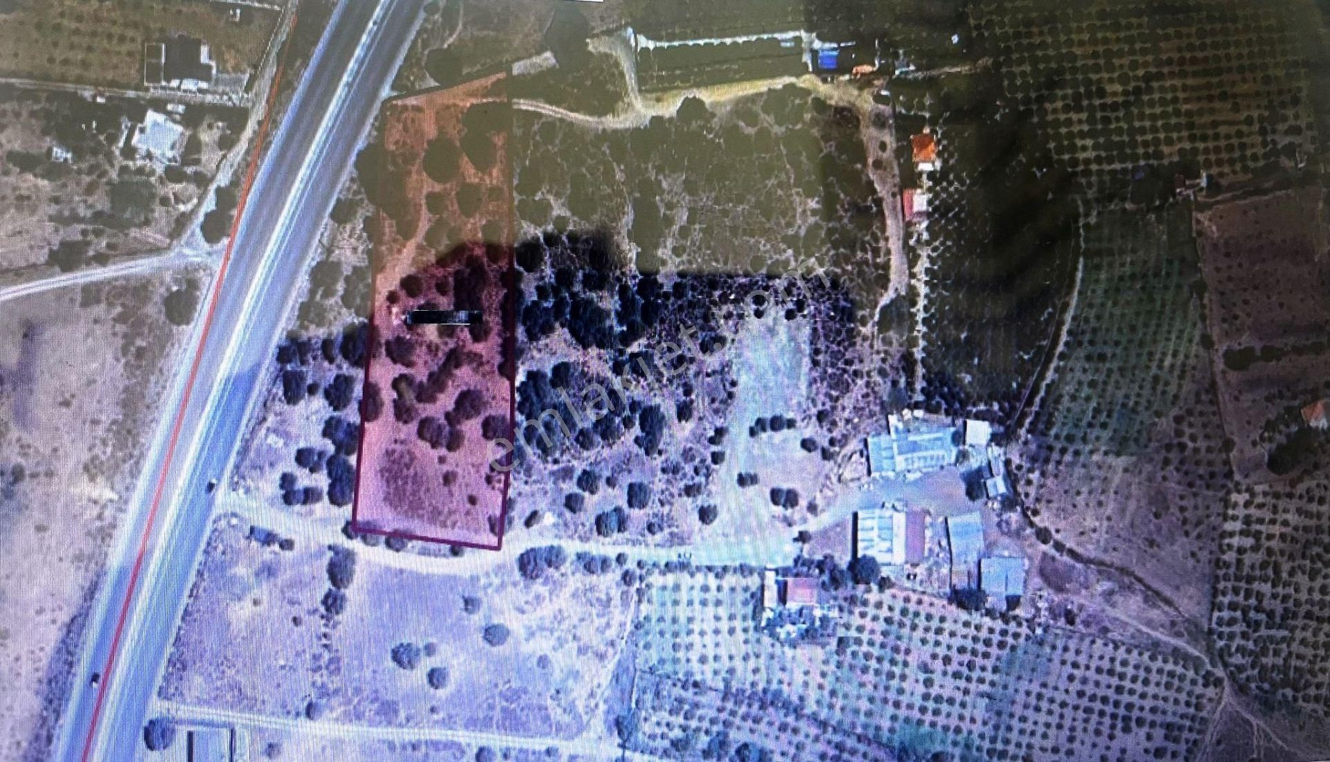 Seferihisar Tepecikte Yola Sıfır Fırsat Arsa - Görsel 2