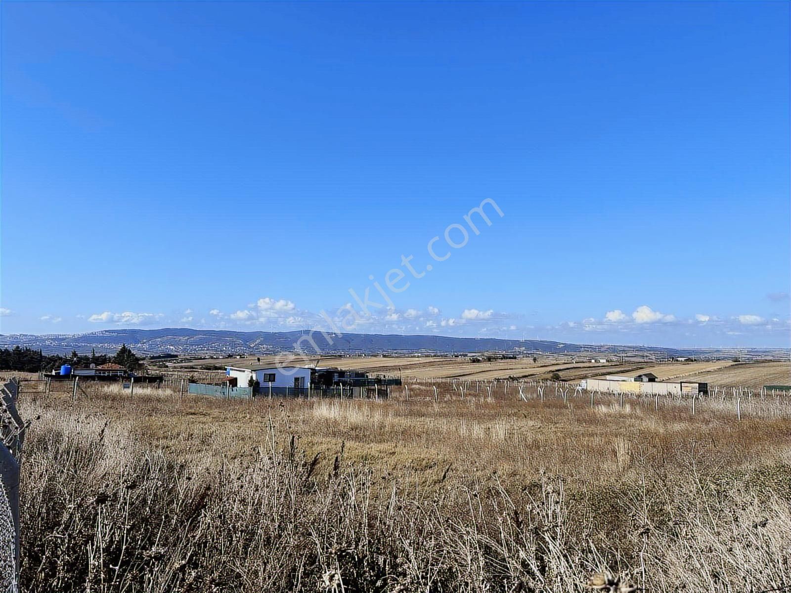 Çatalca Kestanelikte Manzaralı 387 M² Köşe Başında Arsa - Görsel 9