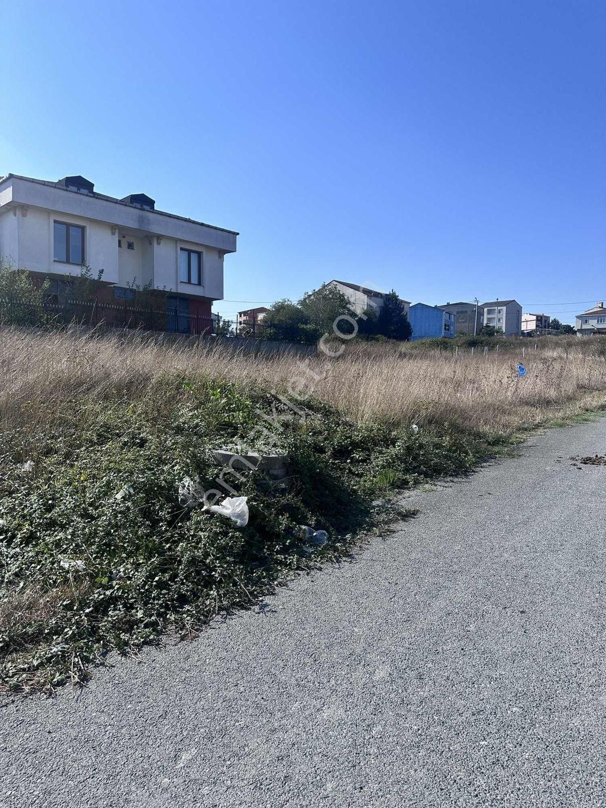 Prm Emlaktan Arnavutköy Taşolukta 465 M² Konut İmarlı Arsa - Görsel 4