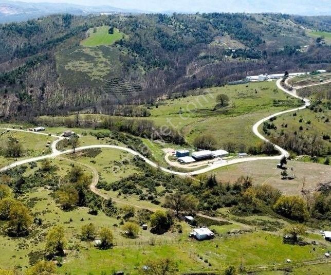 Bursa Kılıç Tan Nüzhetiye De Göl Manzaralı Satılık 220m2 Hobi Bahçesi - Görsel 6
