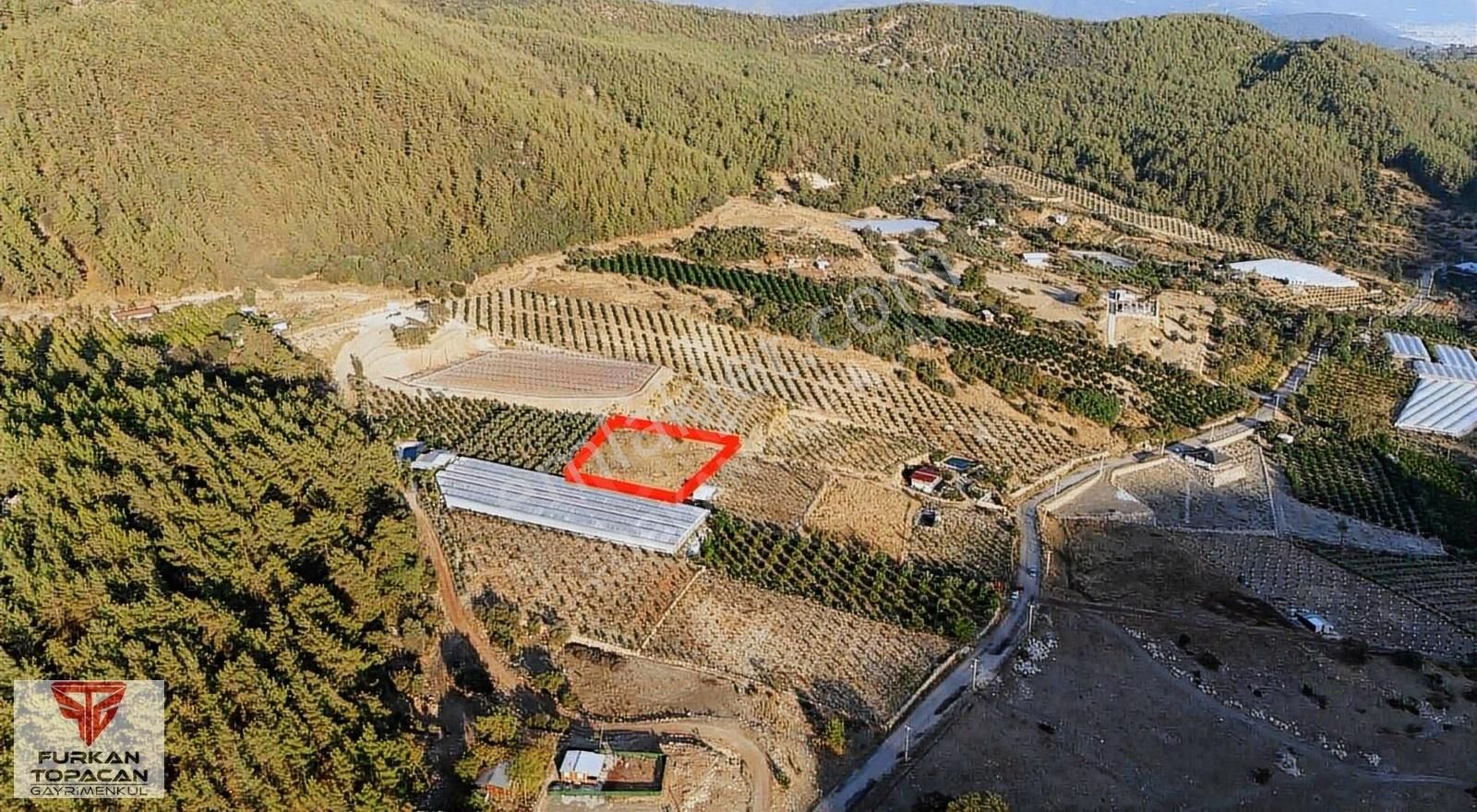 Furkan Topacan Gayrimenkul'den Satılık Tarla - Görsel 13