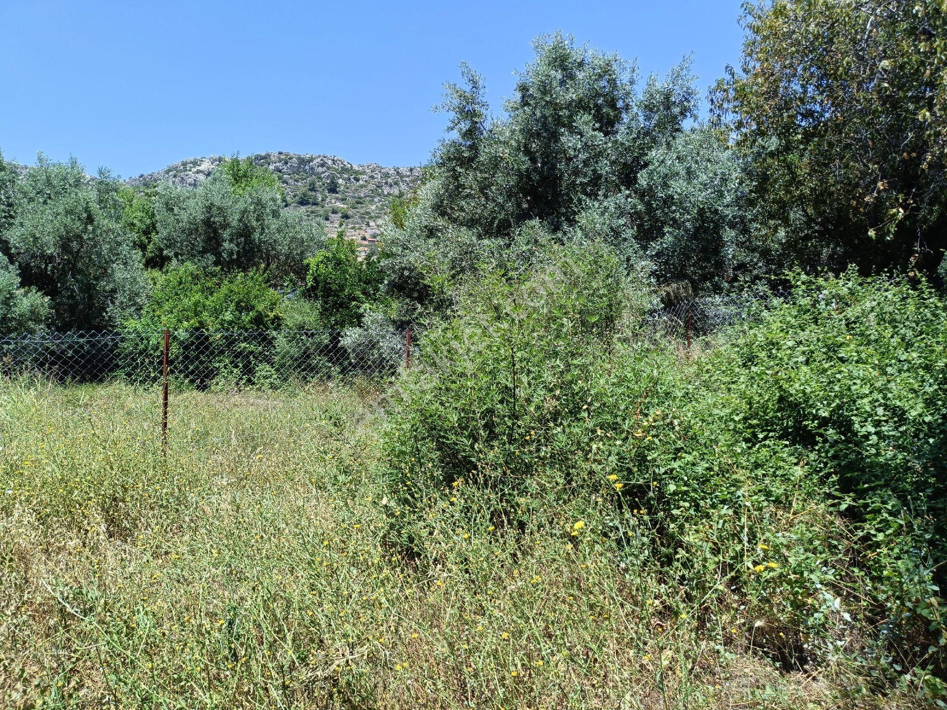 Joker: Marmaris Söğüt Telle Çevrili Denize 500 Metre Yakınlıkta Tarla - Görsel 8
