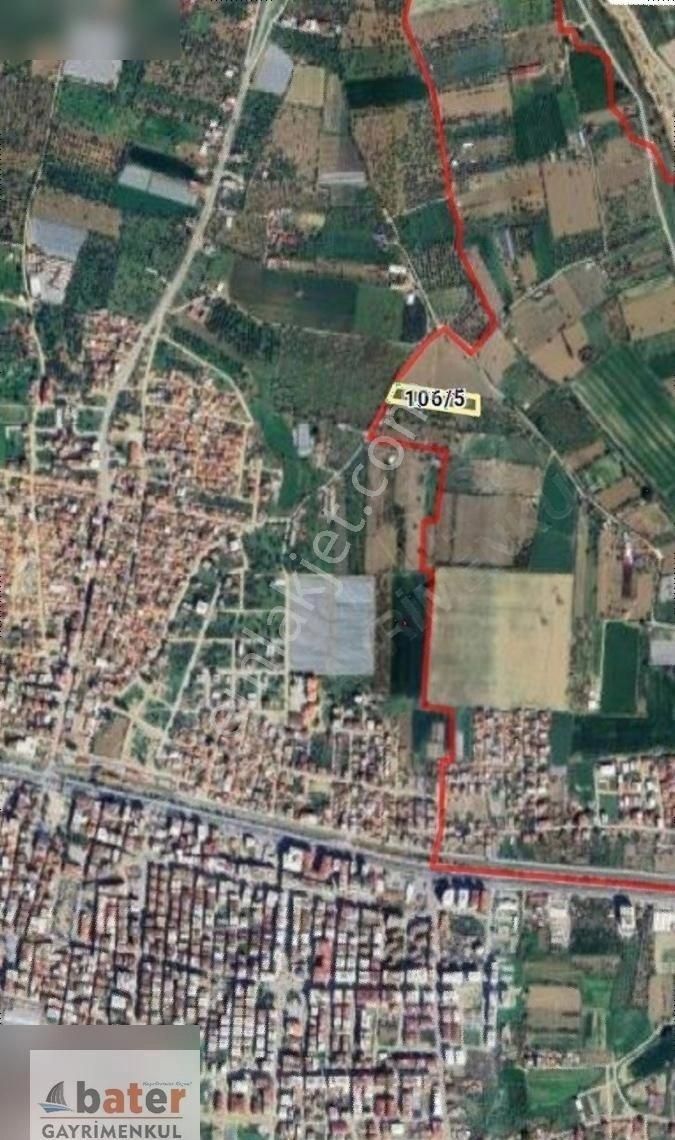 Bater'den Gerenkova'da Yatırımlık 5.727 M² Satılık İncir Bahçesi - Görsel 2