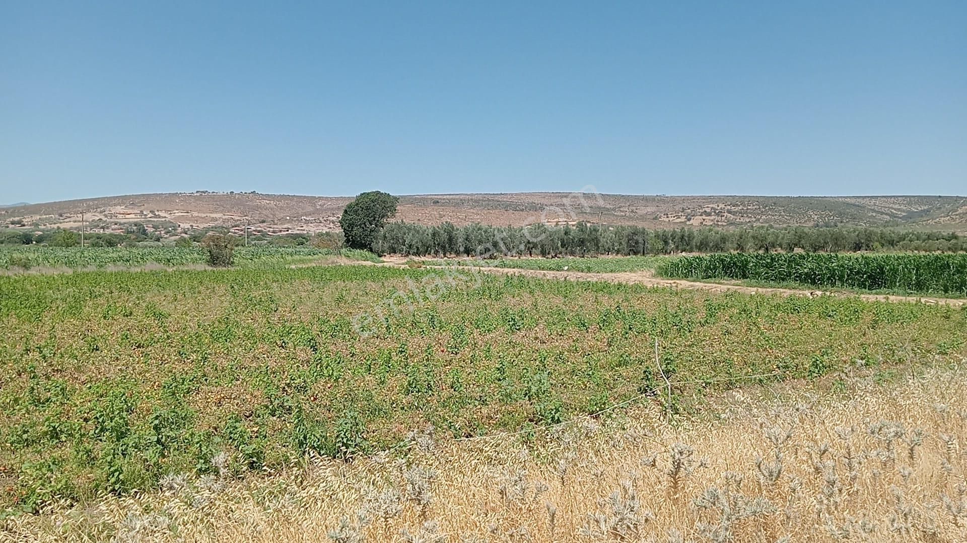 Komutan Emlaktan Bergama Göçbeylide Yatırımlık Arsa - Görsel 20