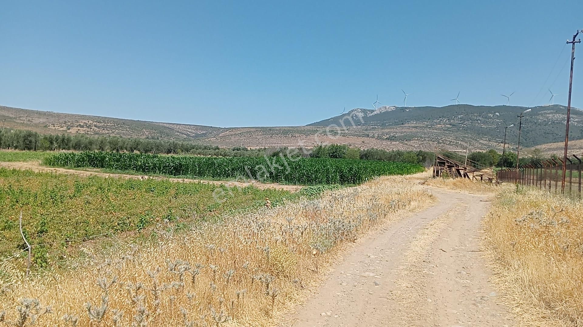 Komutan Emlaktan Bergama Göçbeylide Yatırımlık Arsa - Görsel 19