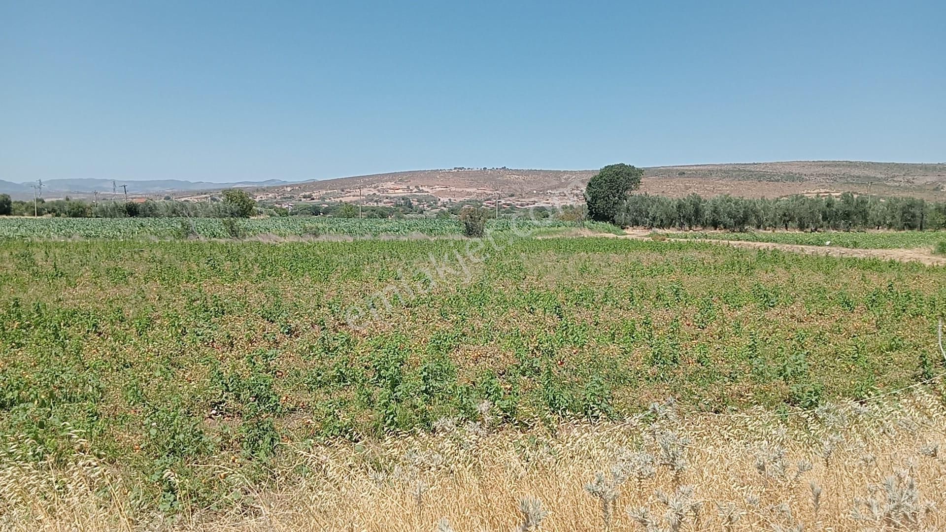 Komutan Emlaktan Bergama Göçbeylide Yatırımlık Arsa - Görsel 23