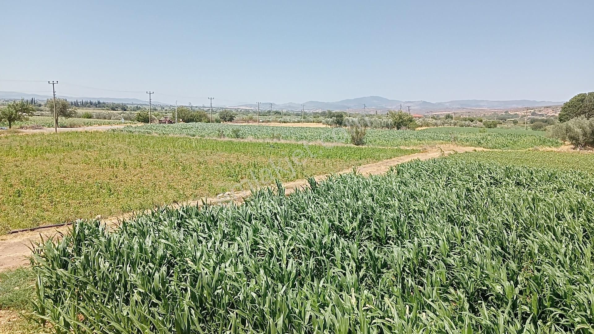 Komutan Emlaktan Bergama Göçbeylide Yatırımlık Arsa - Görsel 15