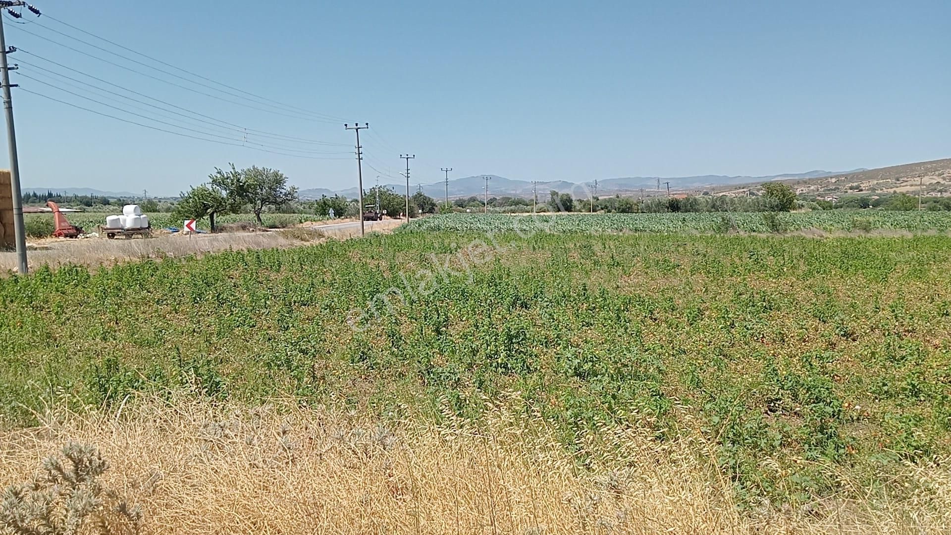 Komutan Emlaktan Bergama Göçbeylide Yatırımlık Arsa - Görsel 22