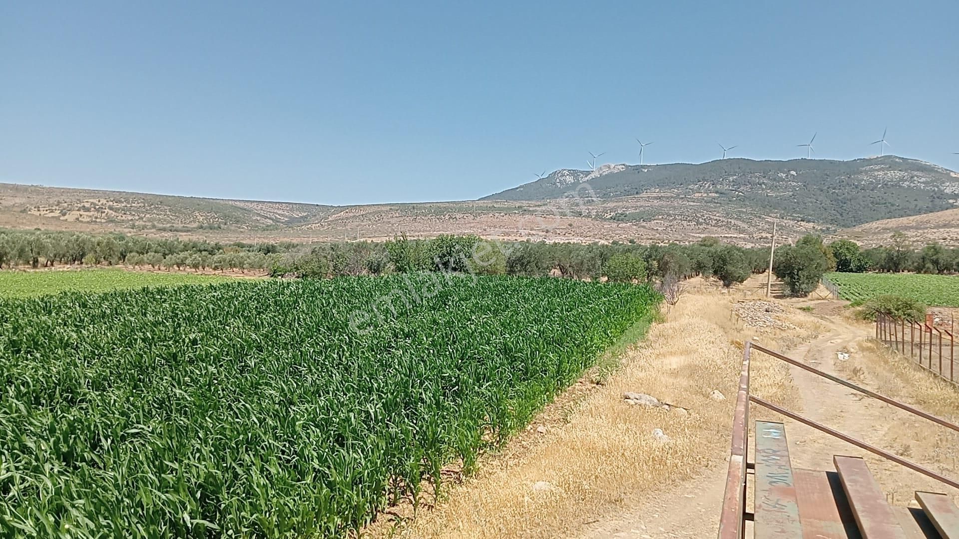 Komutan Emlaktan Bergama Göçbeylide Yatırımlık Arsa - Görsel 21