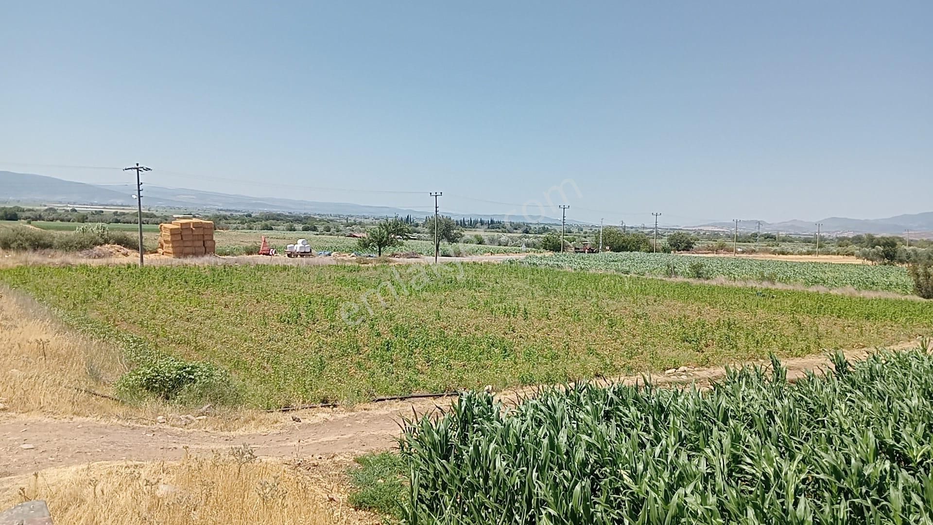 Komutan Emlaktan Bergama Göçbeylide Yatırımlık Arsa - Görsel 17