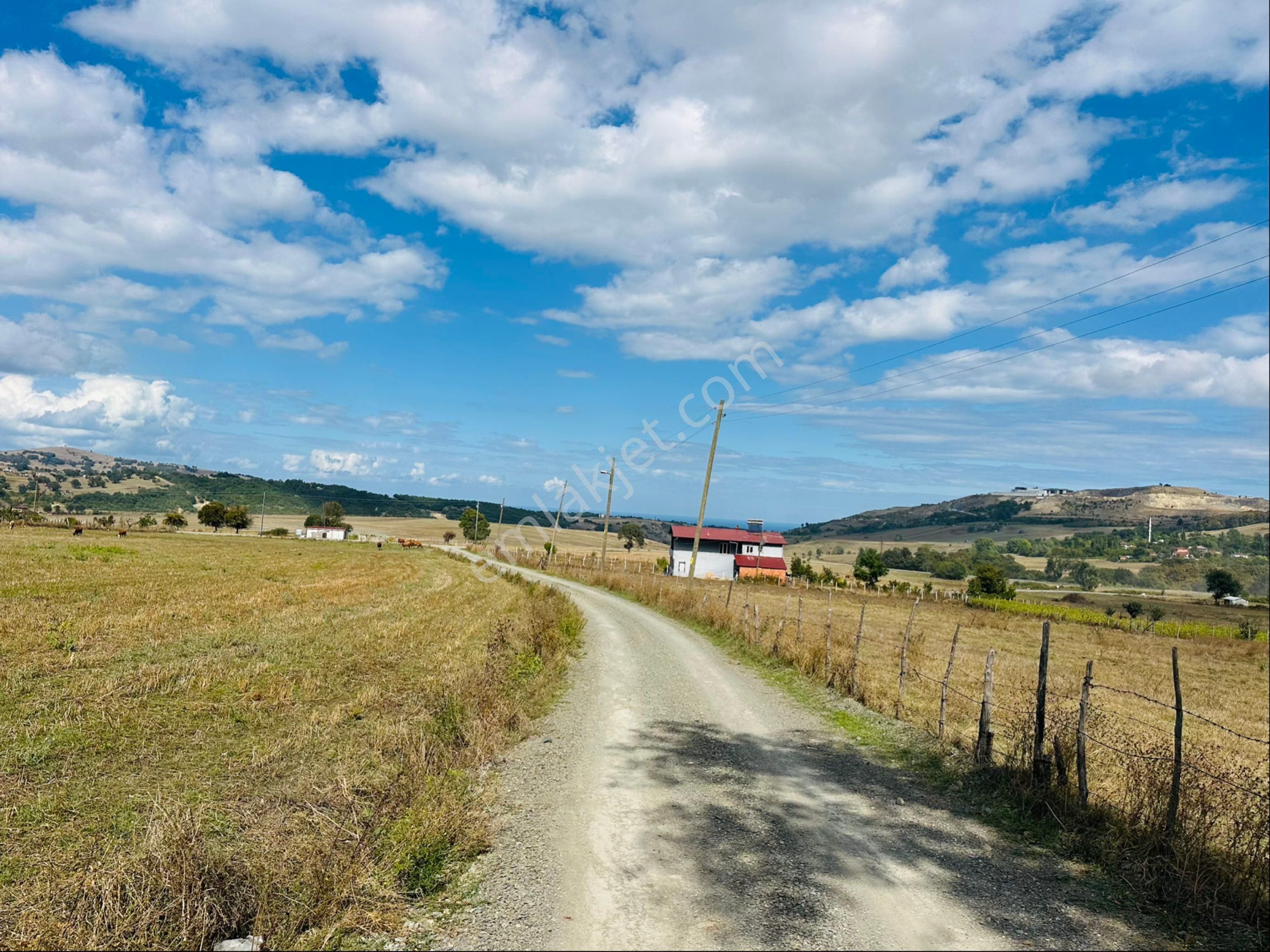 Sarayköy’de Köy Yerleşim Yeri Alan İçinde 825 Metre² Tarla - Görsel 3