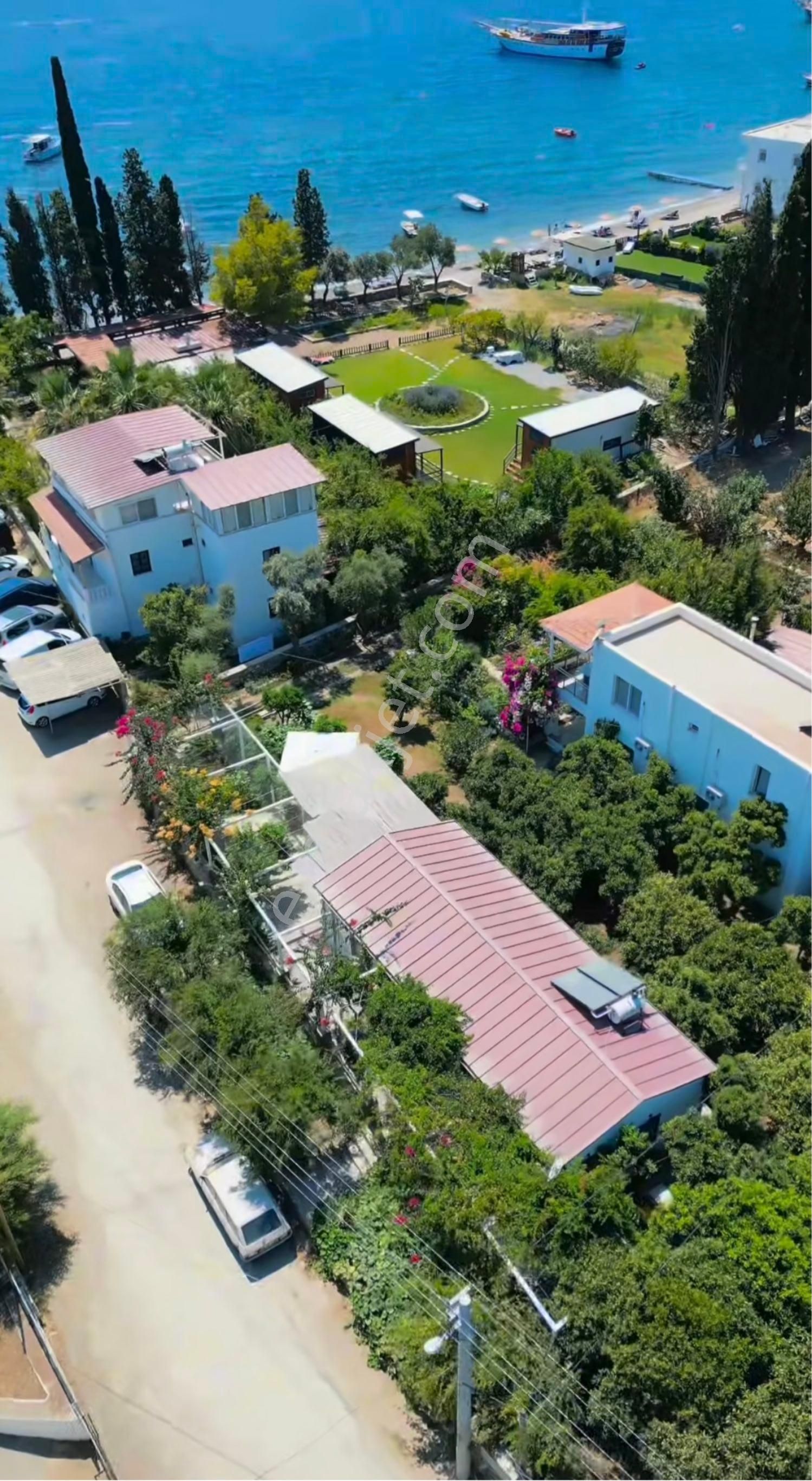 Turyap ‘tan Bodrum Mazı ‘da Satılık Tarla - Görsel 2