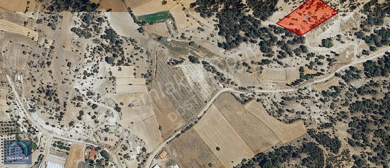 Gölhisar İbecikte Tek Tapu 5845 M² Tarla