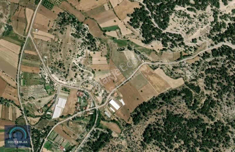 Gölhisar İbecikte Tek Tapu 5845 M² Tarla - Görsel 4