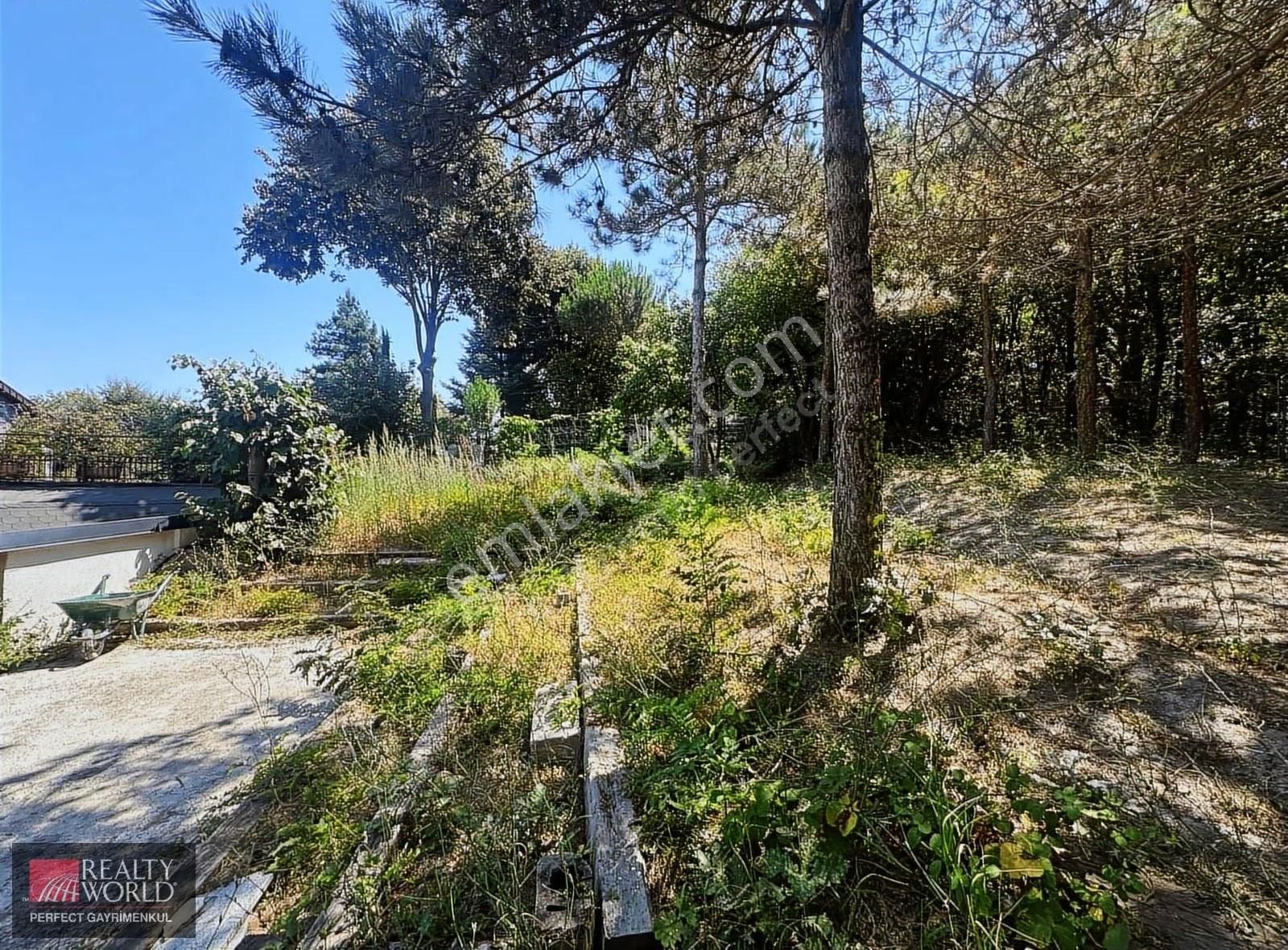 *realty World* Zekeriyaköyde Eşyalı Kiralık 9 Tipi Koza Villası - Görsel 15