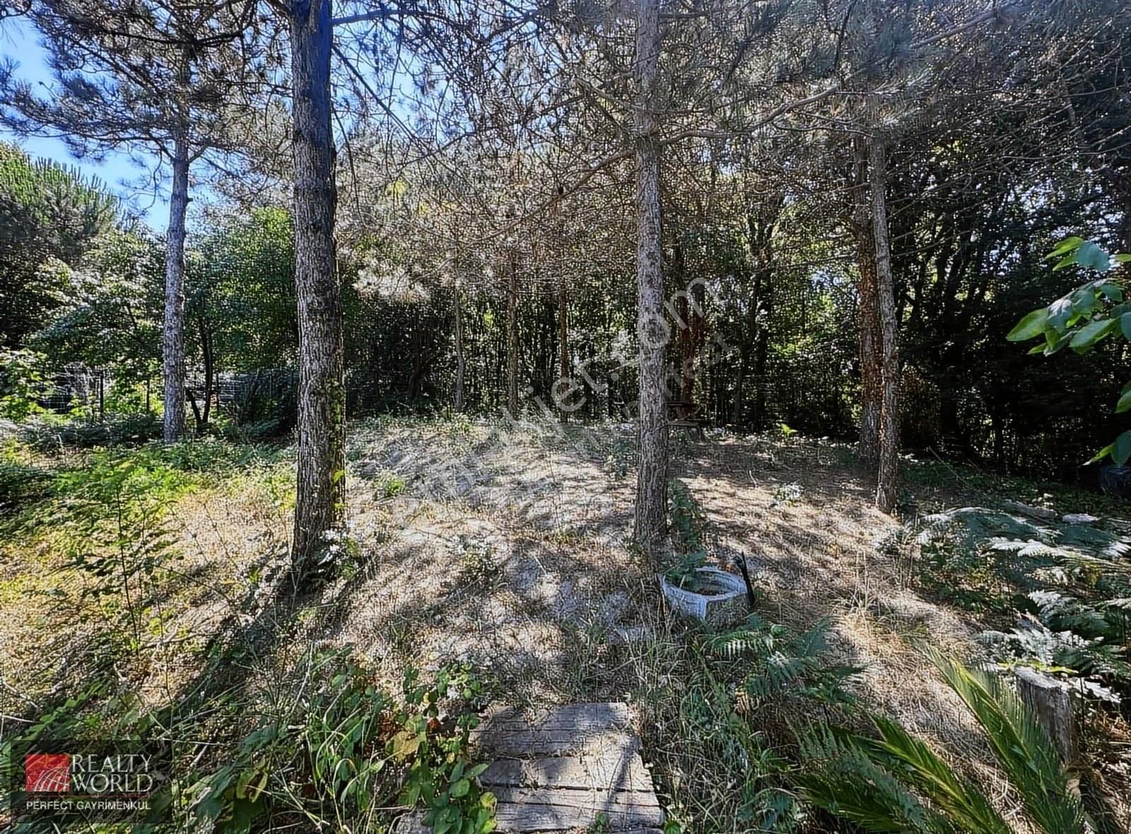 *realty World* Zekeriyaköyde Eşyalı Kiralık 9 Tipi Koza Villası - Görsel 30